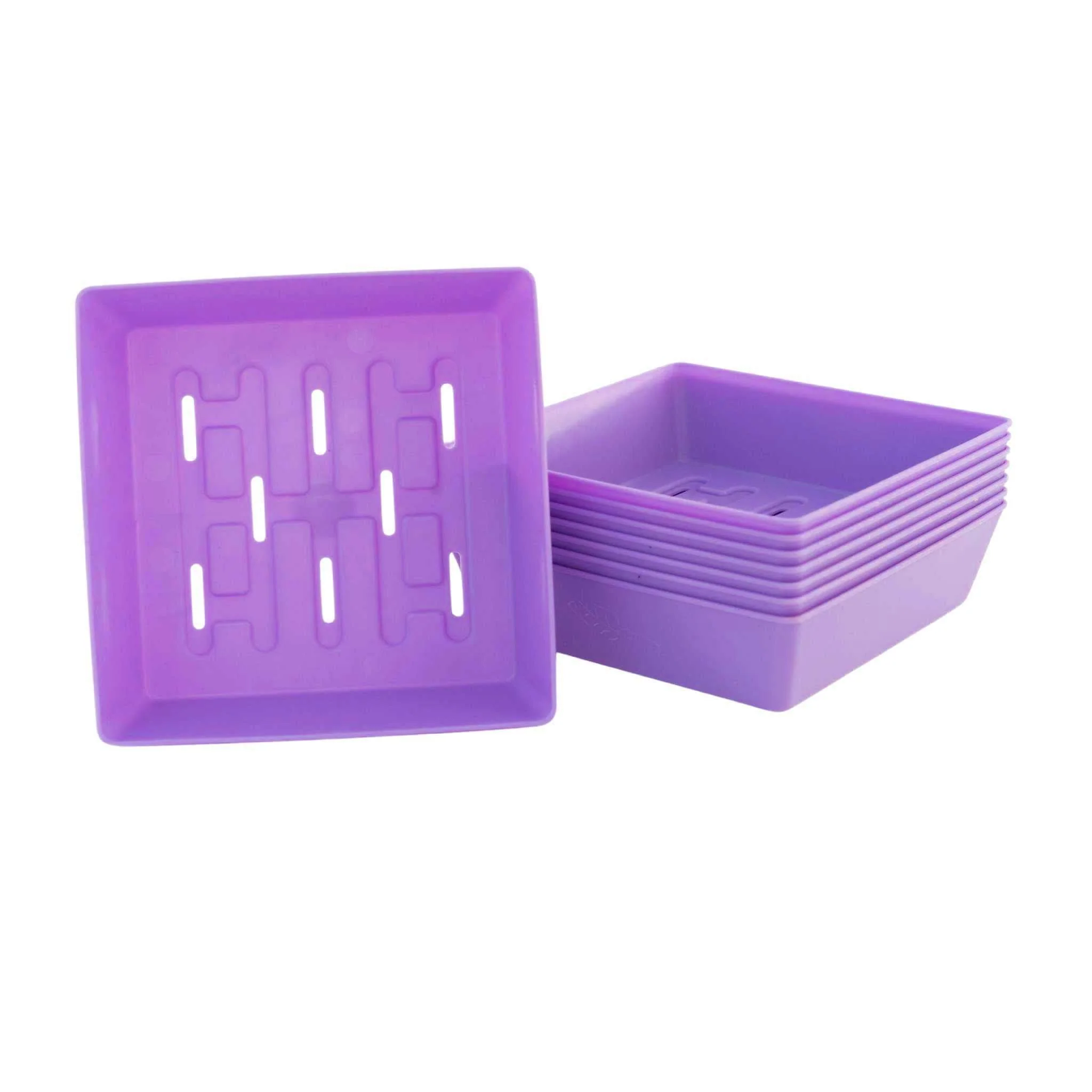 5X5 Shallow Microgreen Trays - Image 15