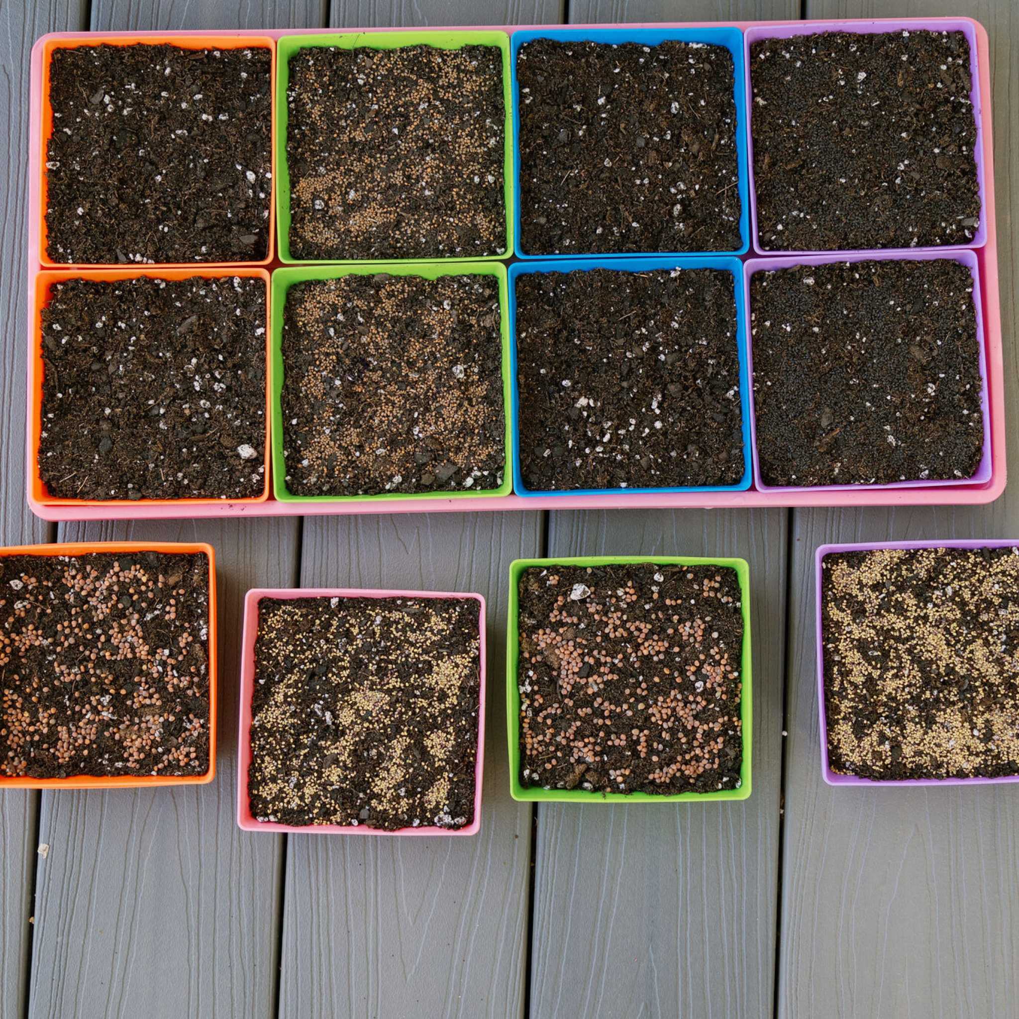 5X5 Shallow Microgreen Trays - Image 2