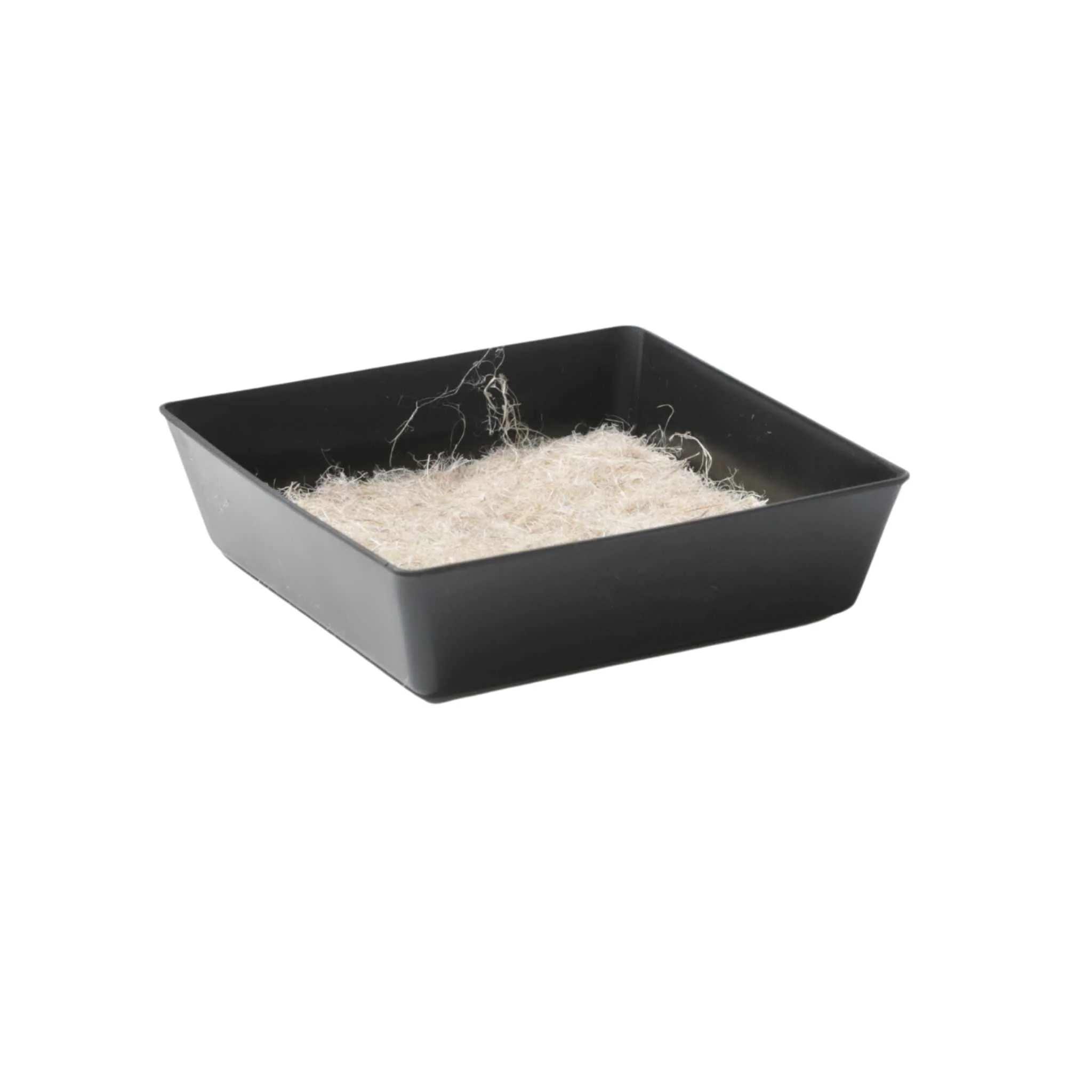 5X5 Shallow Microgreen Trays - Image 21