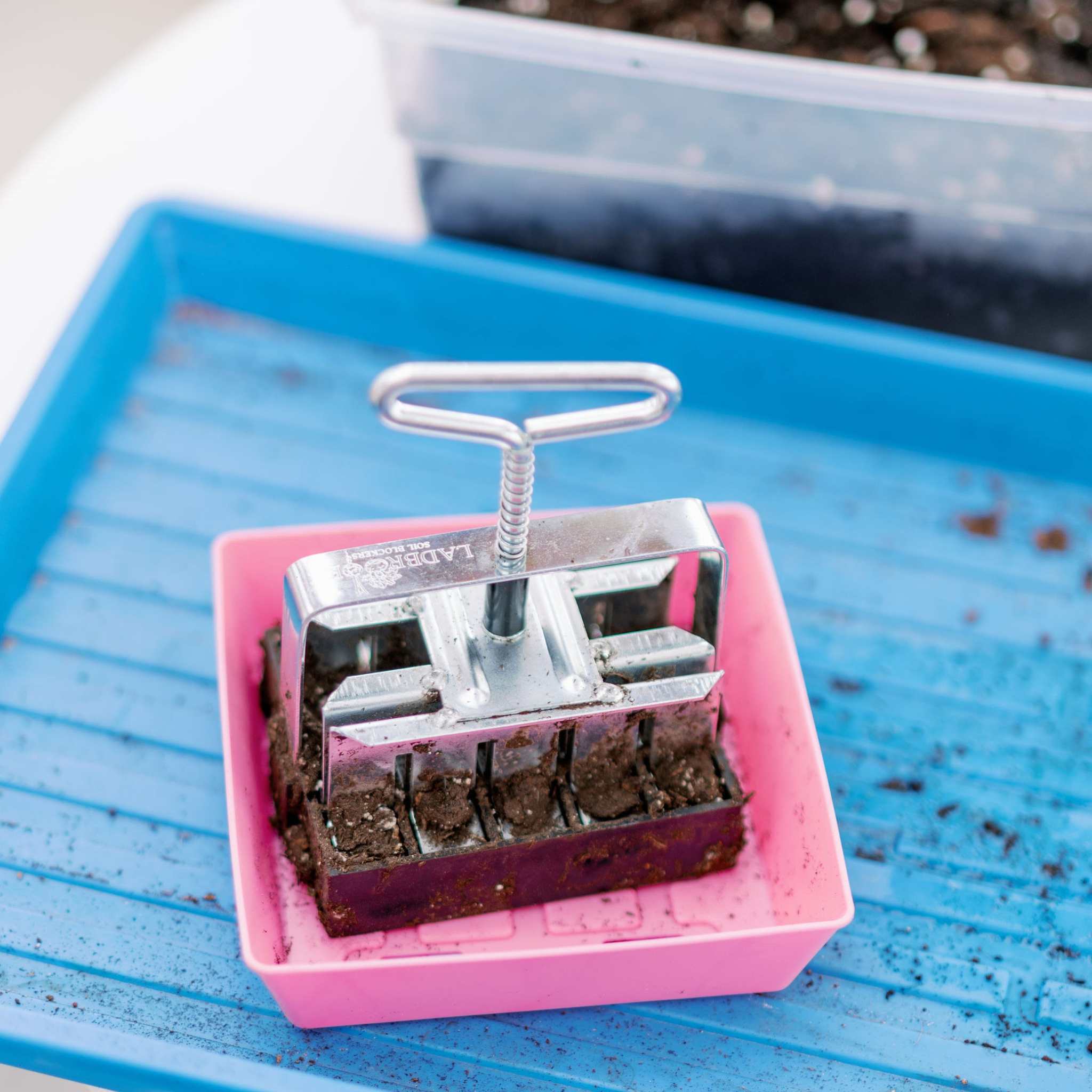 5X5 Shallow Microgreen Trays - Image 25
