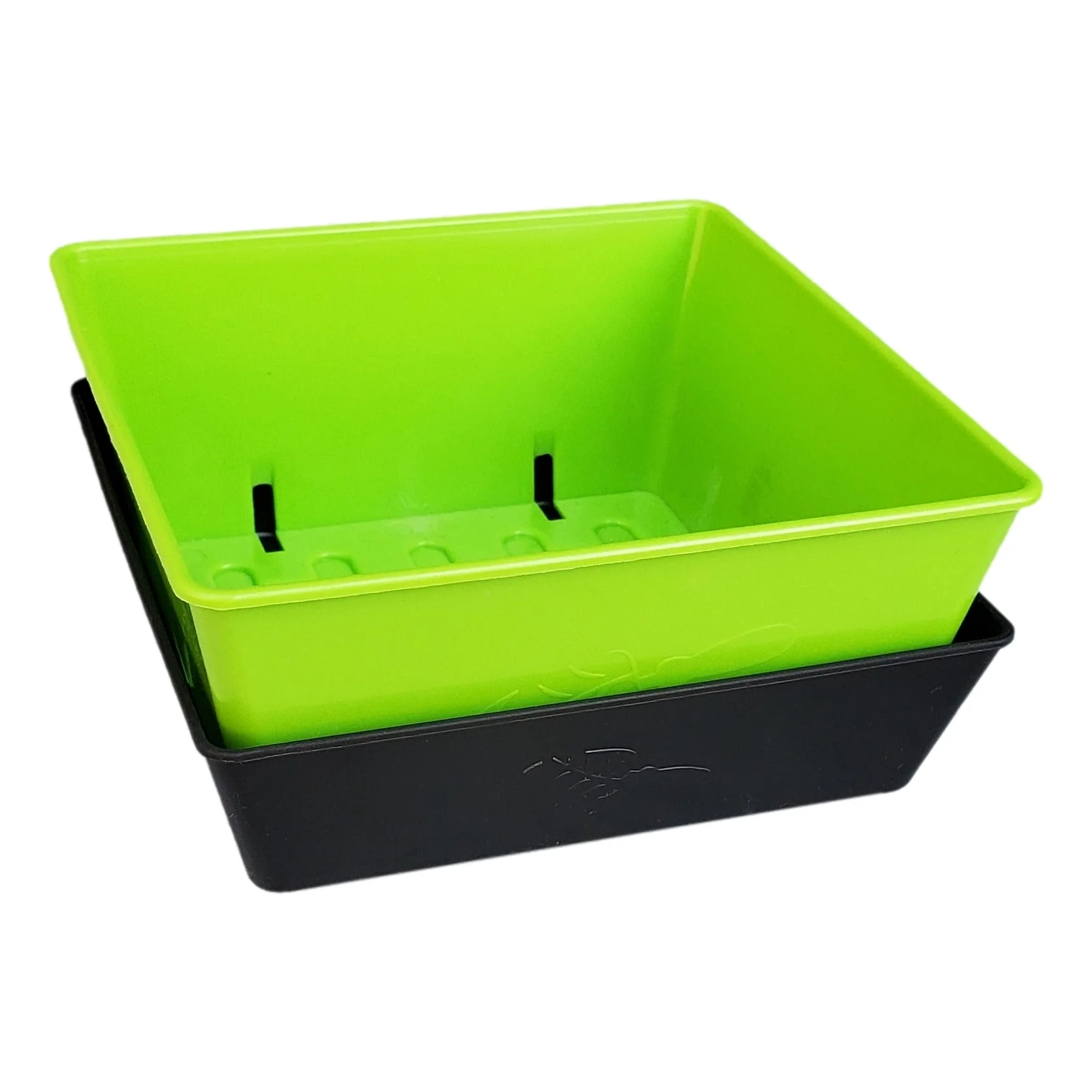 5X5 Shallow Microgreen Trays - Image 26