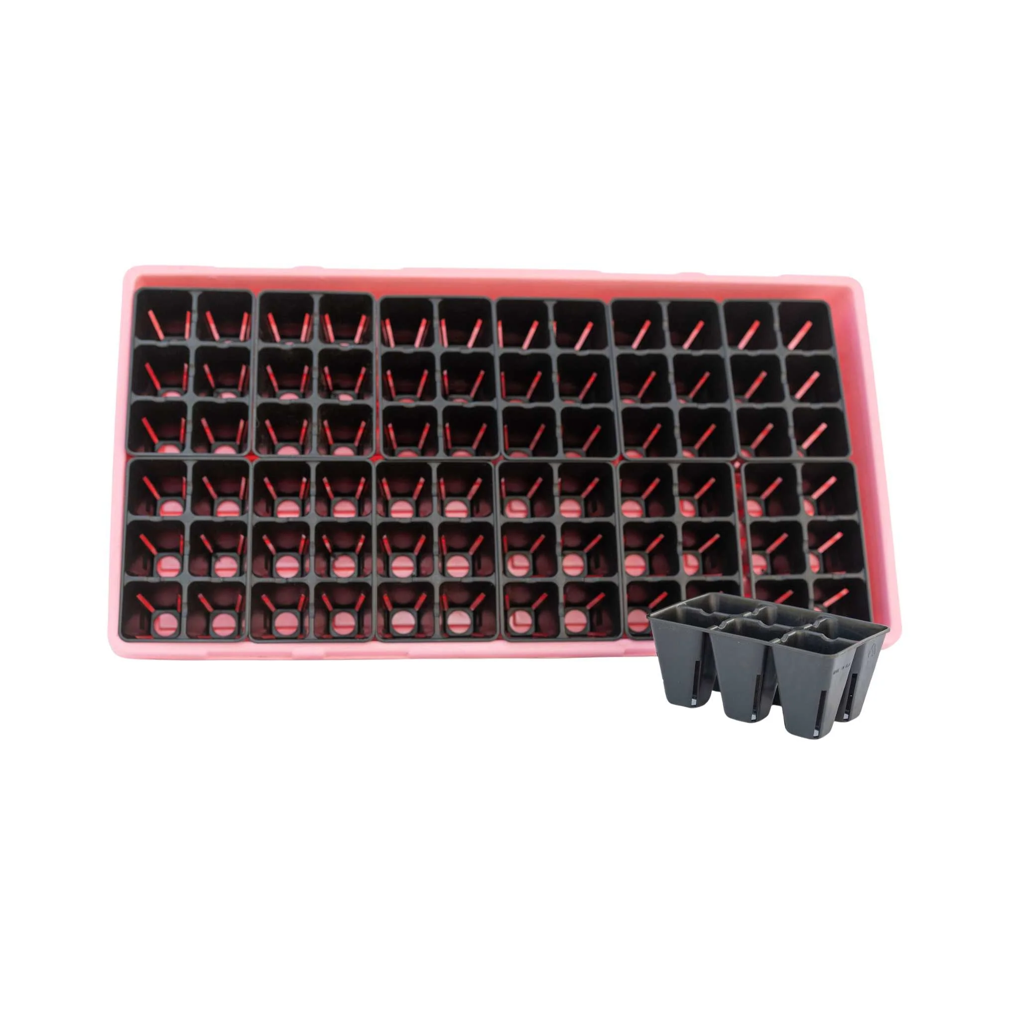 6 Cell Plug Tray Inserts - Image 7