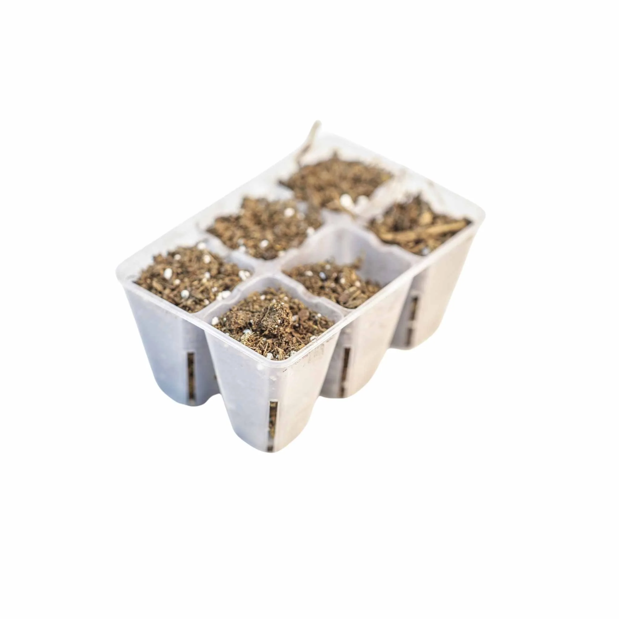 6 Cell Plug Tray Inserts Colors - Image 15
