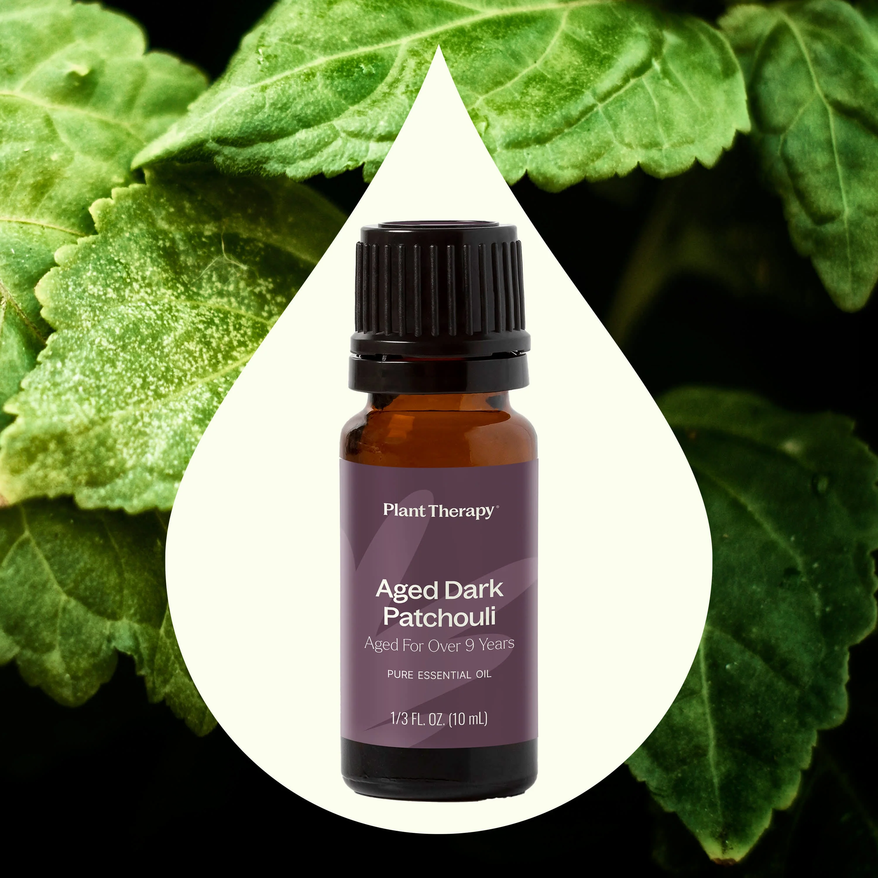 Aged Dark Patchouli Essential Oil - Image 2