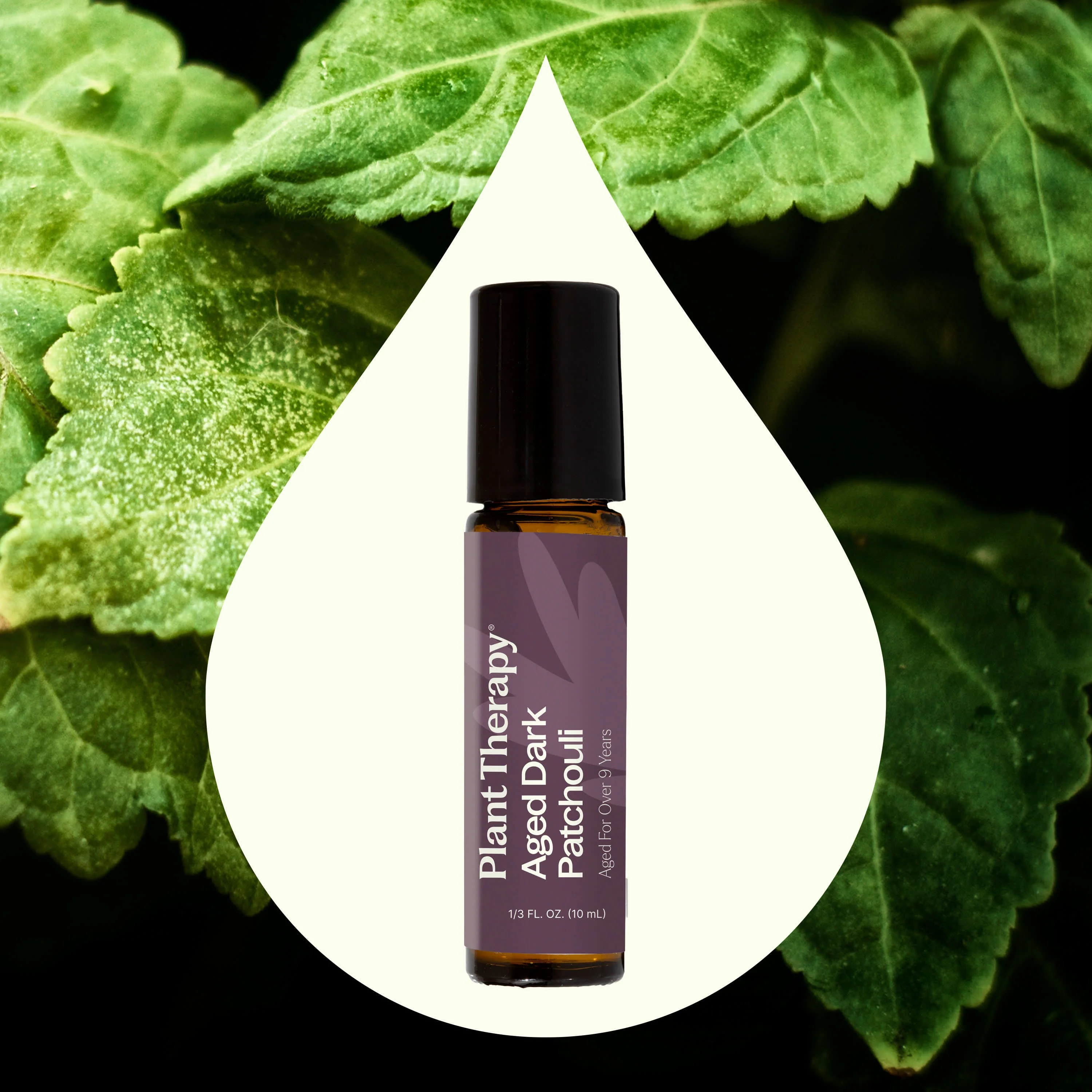 Aged Dark Patchouli Essential Oil Pre-Diluted Roll-On 10 ml - Image 2