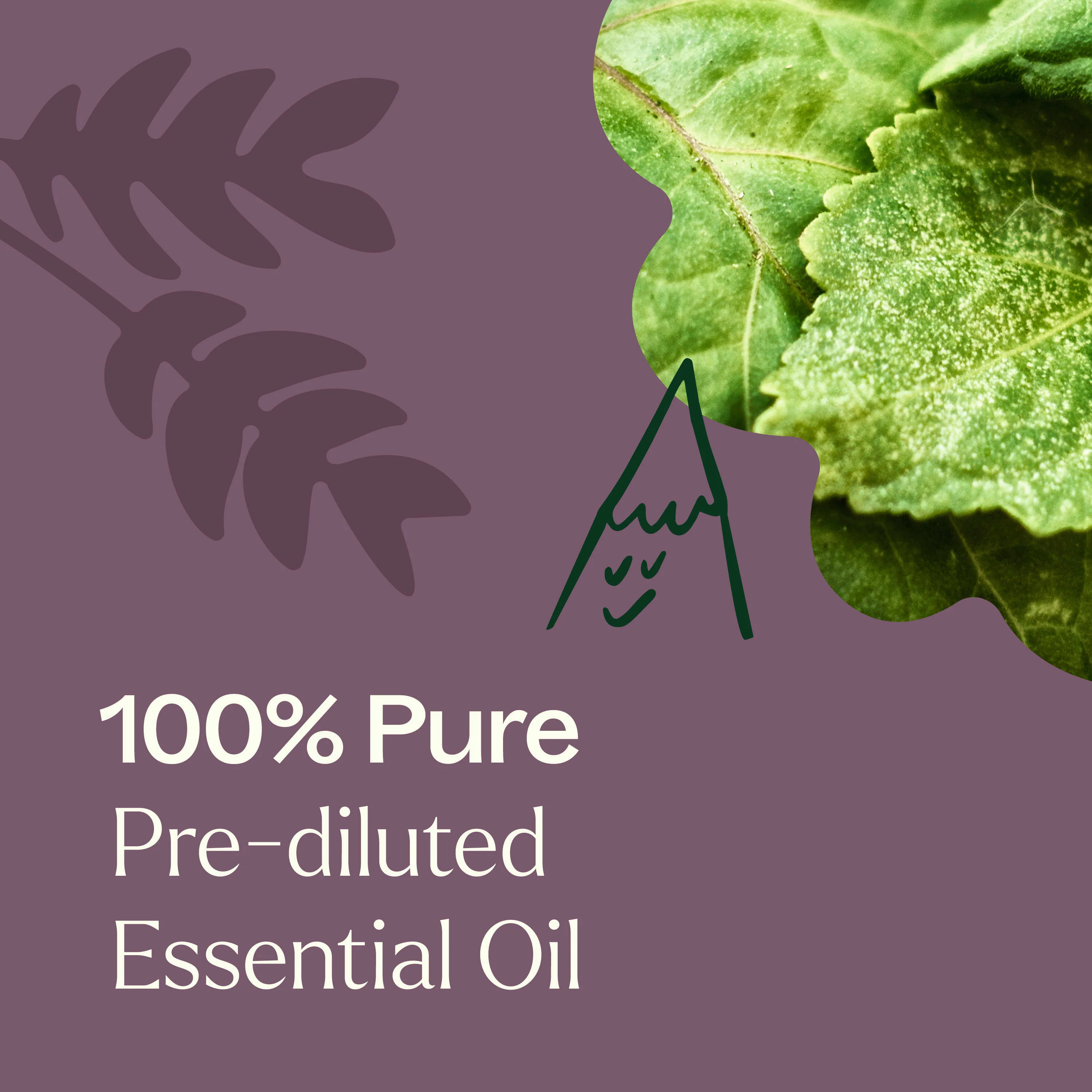 Aged Dark Patchouli Essential Oil Pre-Diluted Roll-On 10 ml - Image 3
