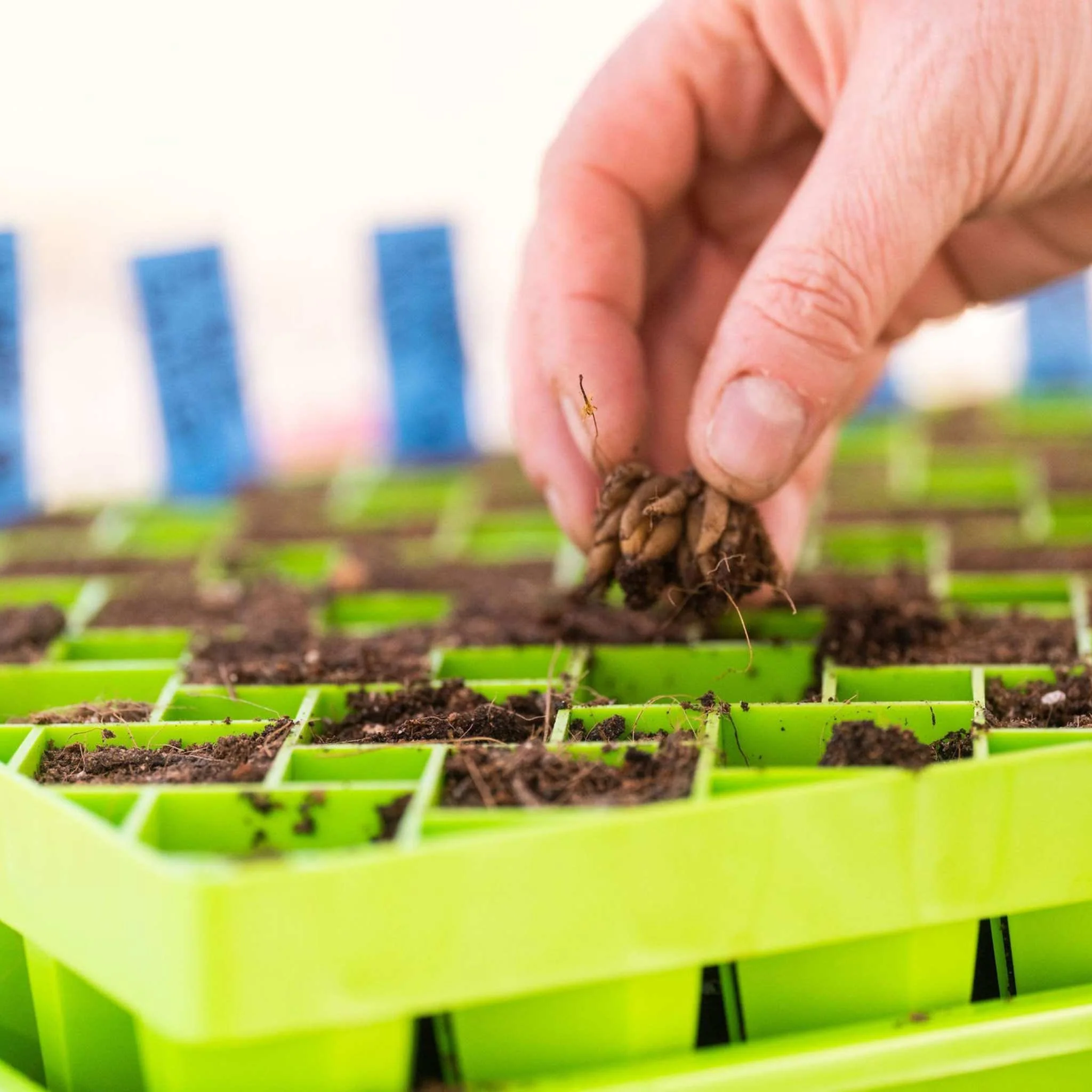 Air Prune Propagation Tray - 72 Cell - Image 13