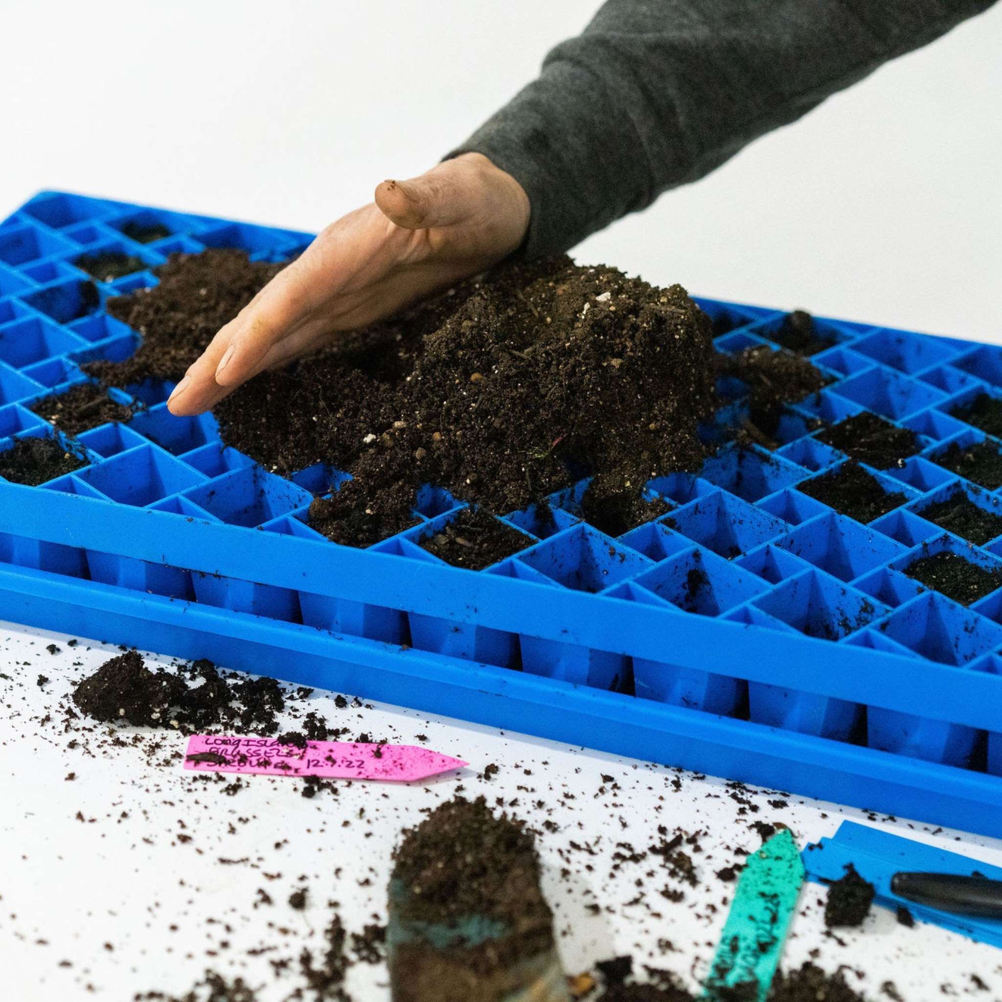 Air Prune Propagation Tray - 72 Cell - Image 22