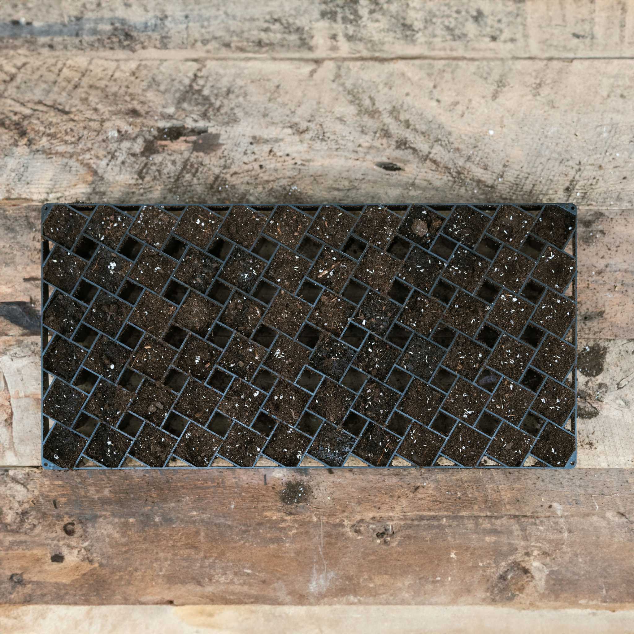 Air Prune Propagation Tray - 72 Cell - Image 26