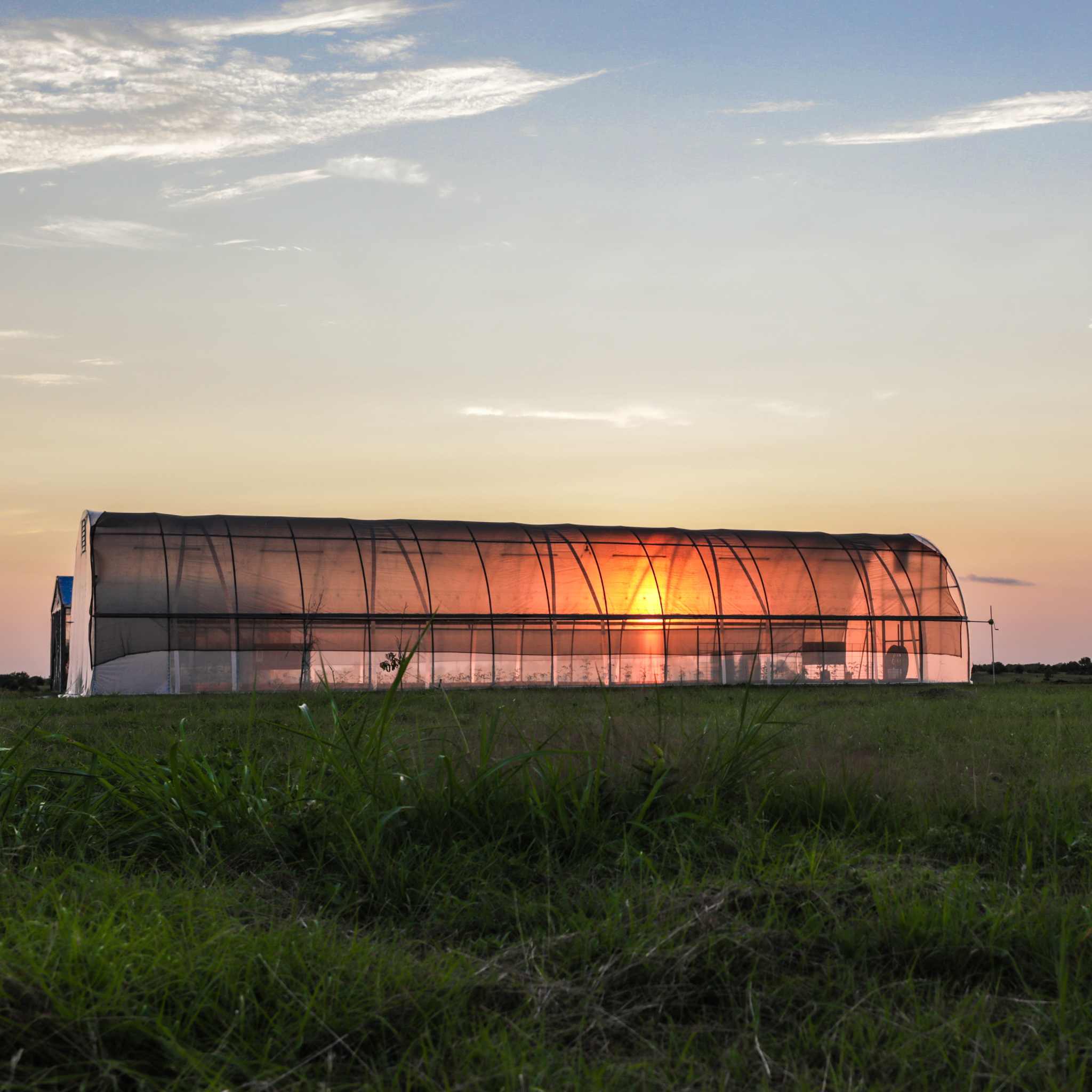 All-Metal Round Hoop House Kit - Image 3