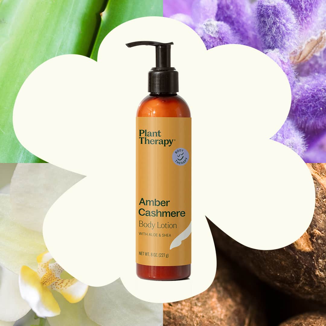 Amber Cashmere Body Lotion with Aloe and Shea - Image 3