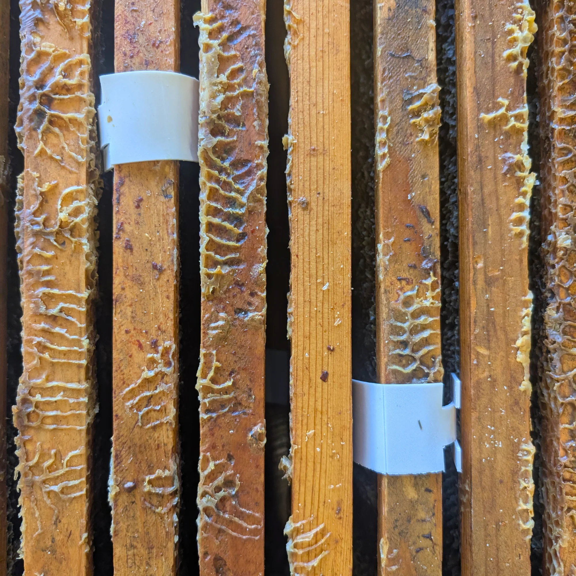Apivar Original + Apivar 2.0 Varroa Mite Strips - Image 12