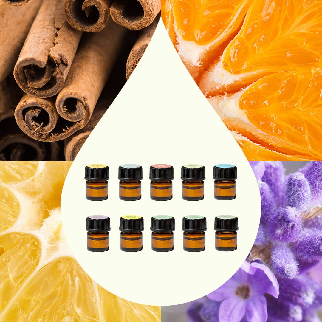 Aroma Flight 10 Count Set - Image 2