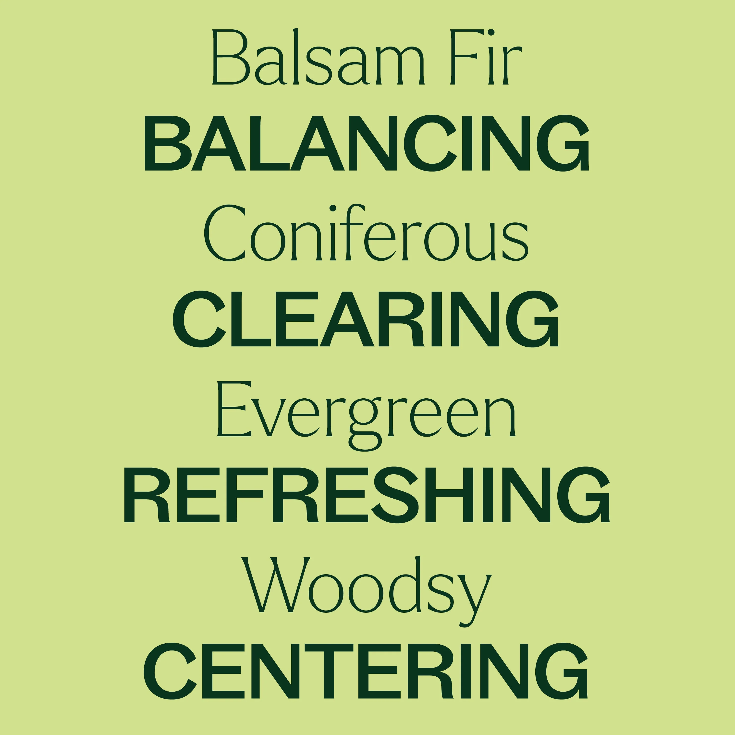 Balsam Fir Essential Oil - Image 4