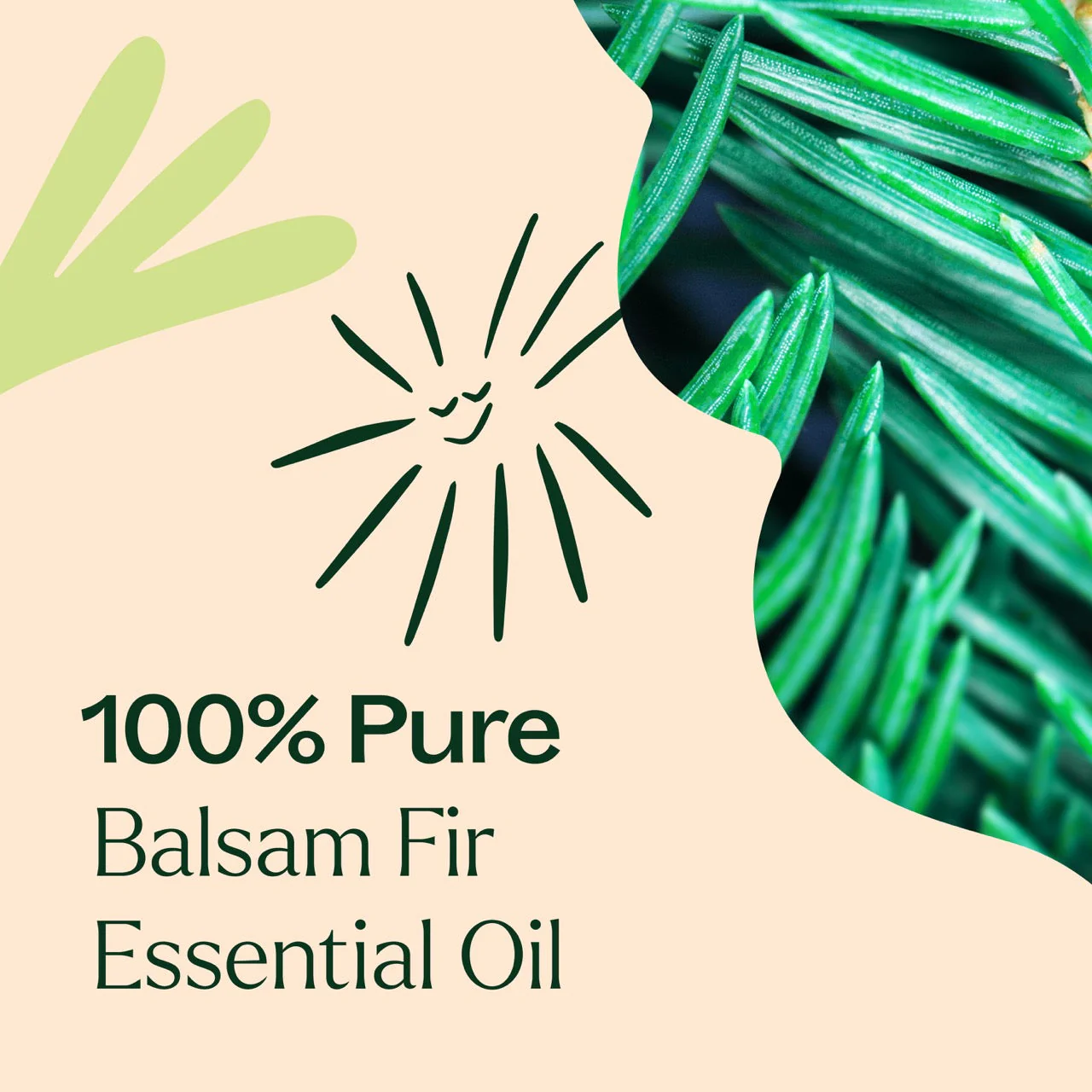 Balsam Fir Essential Oil - Image 9