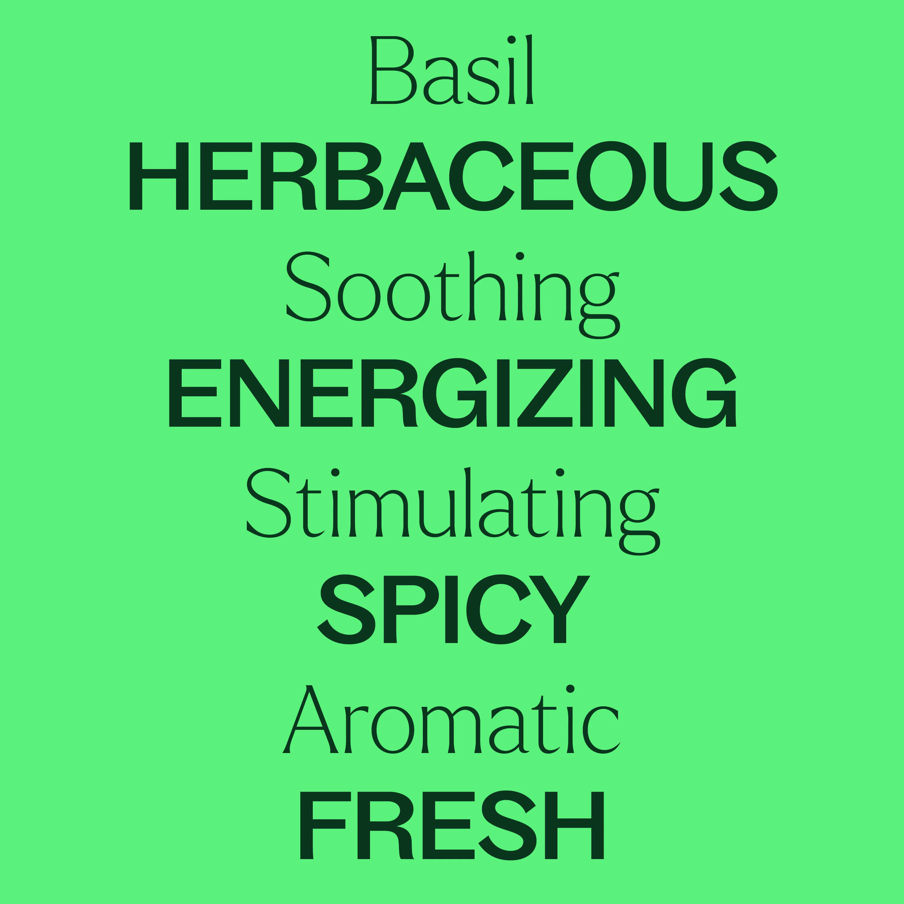 Basil Linalool Essential Oil - Image 4