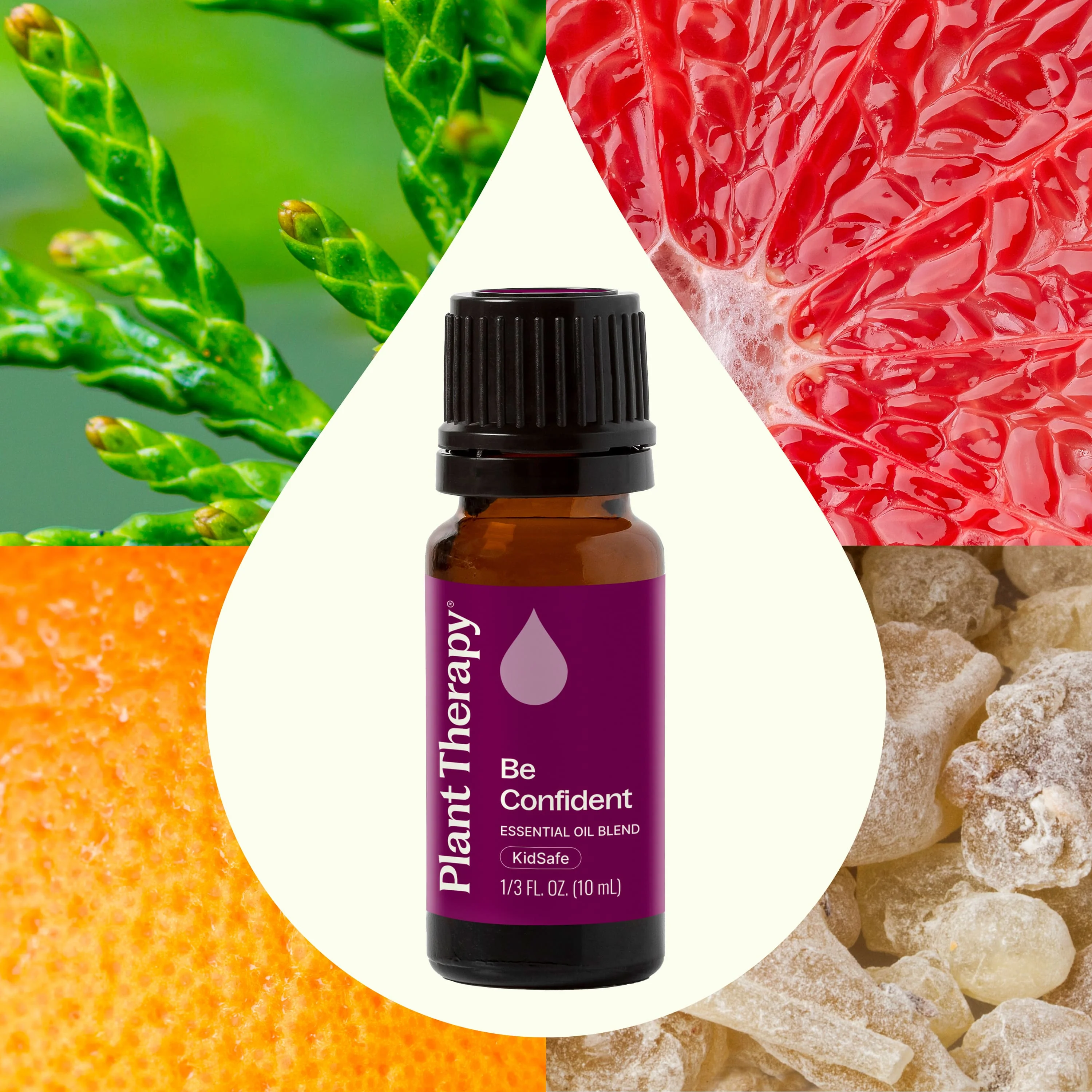 Be Confident Essential Oil Blend - Image 3