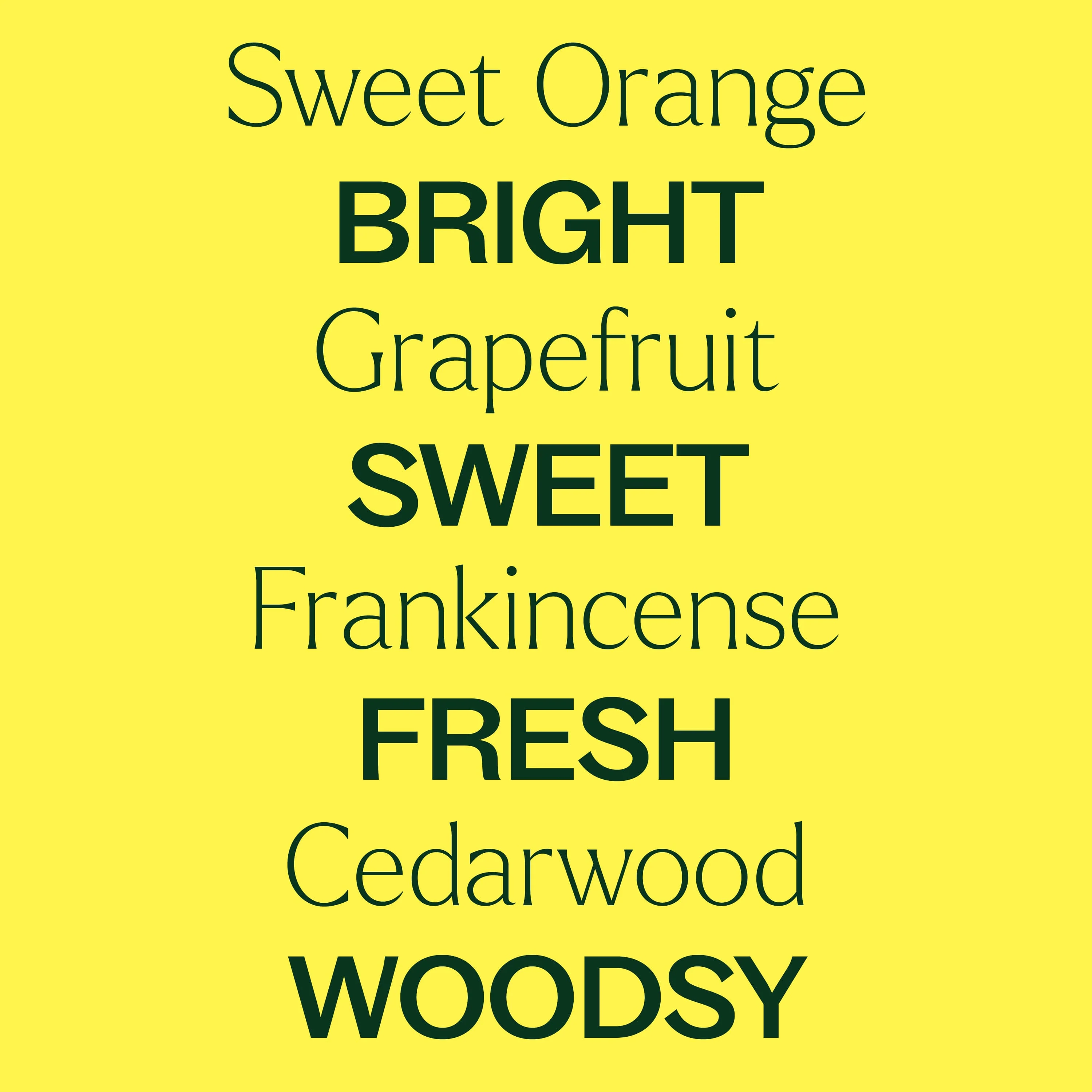 Be Confident Essential Oil Blend - Image 6