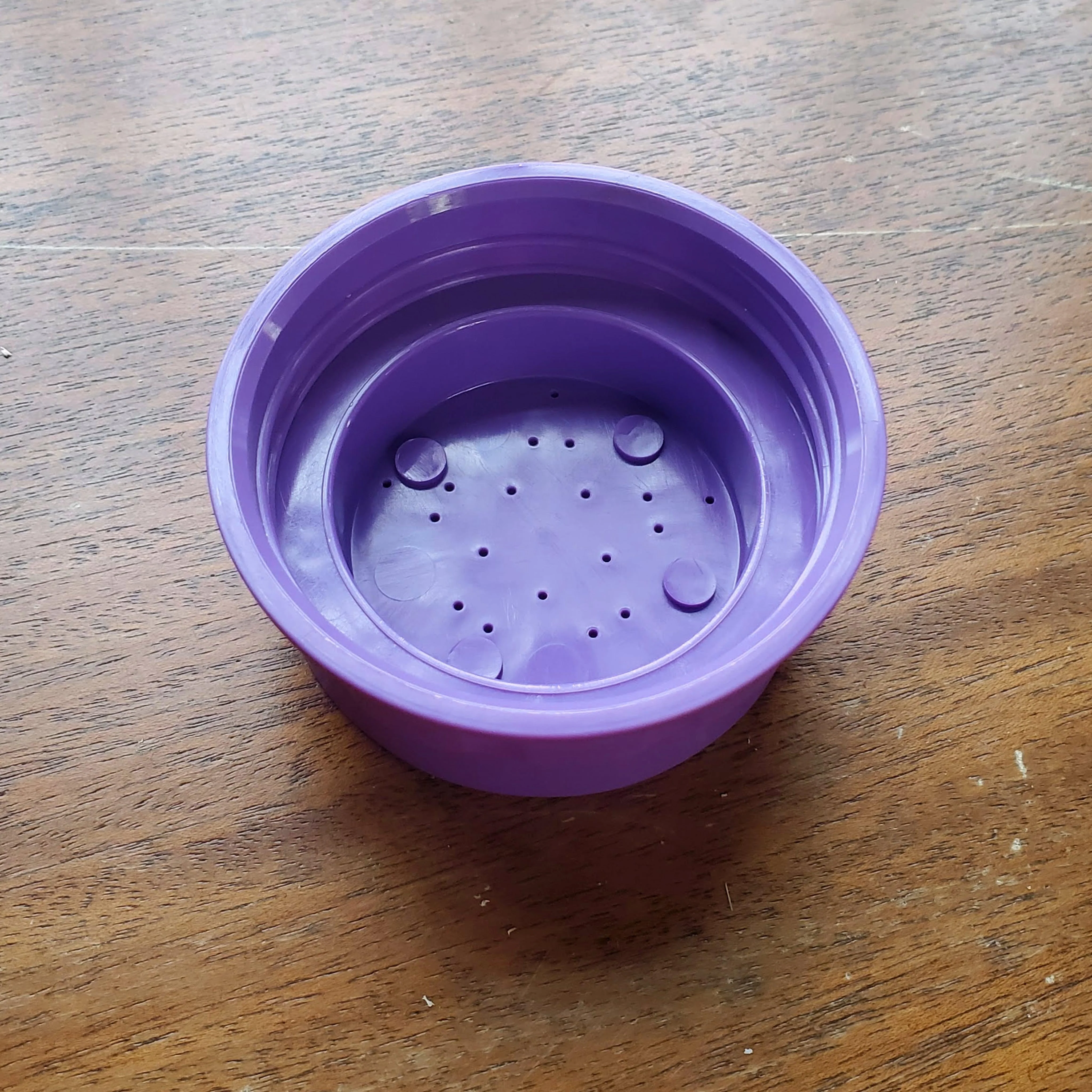 Bee Bar Lid - Image 3