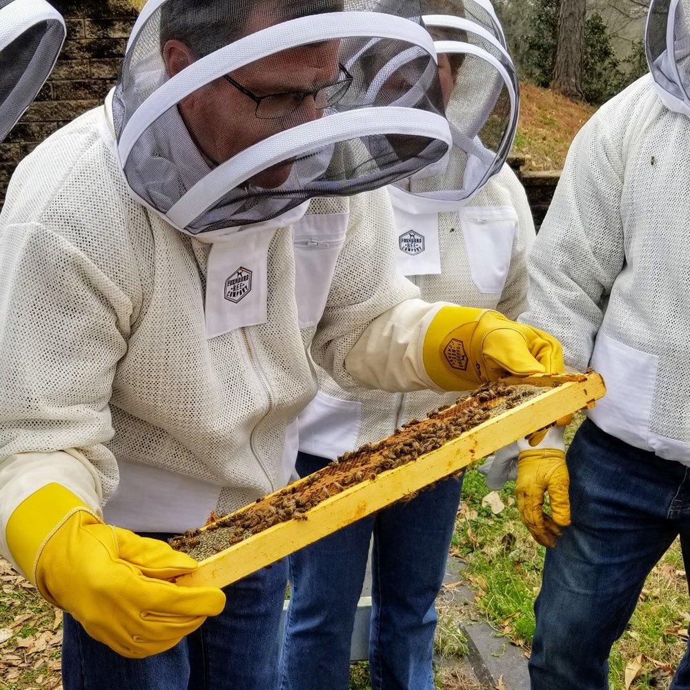 Bee School - One Day Class - Image 2