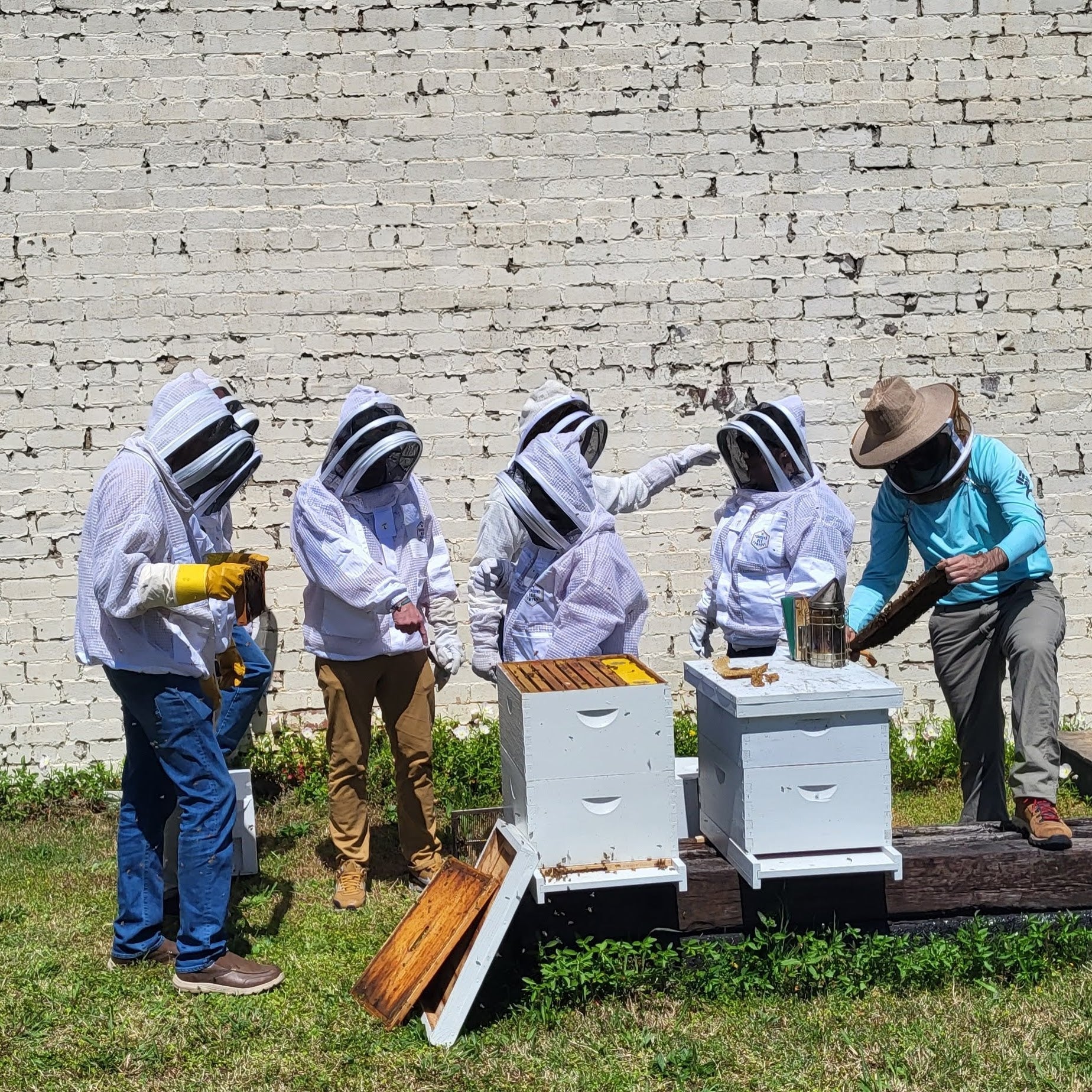 Bee School - One Day Class - Image 4