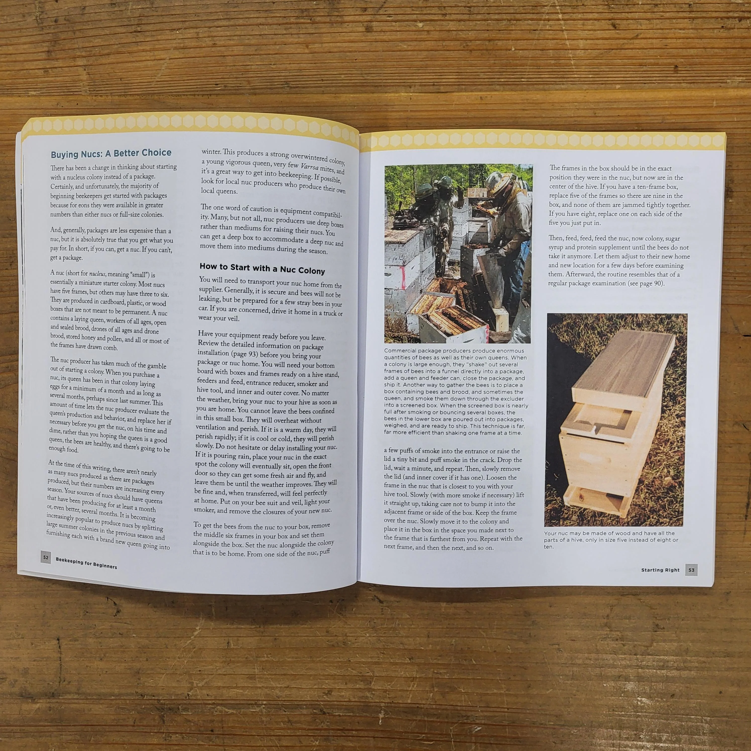 Beekeeping for Beginners Book - Image 2