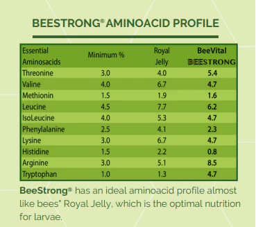 BeeStrong Bee Feed Liquid Concentrate-The Natural Colony Booster - Image 9