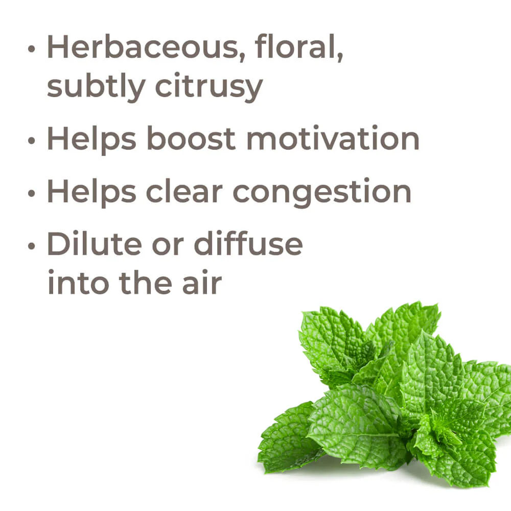 Bergamot Mint Essential Oil - Image 2
