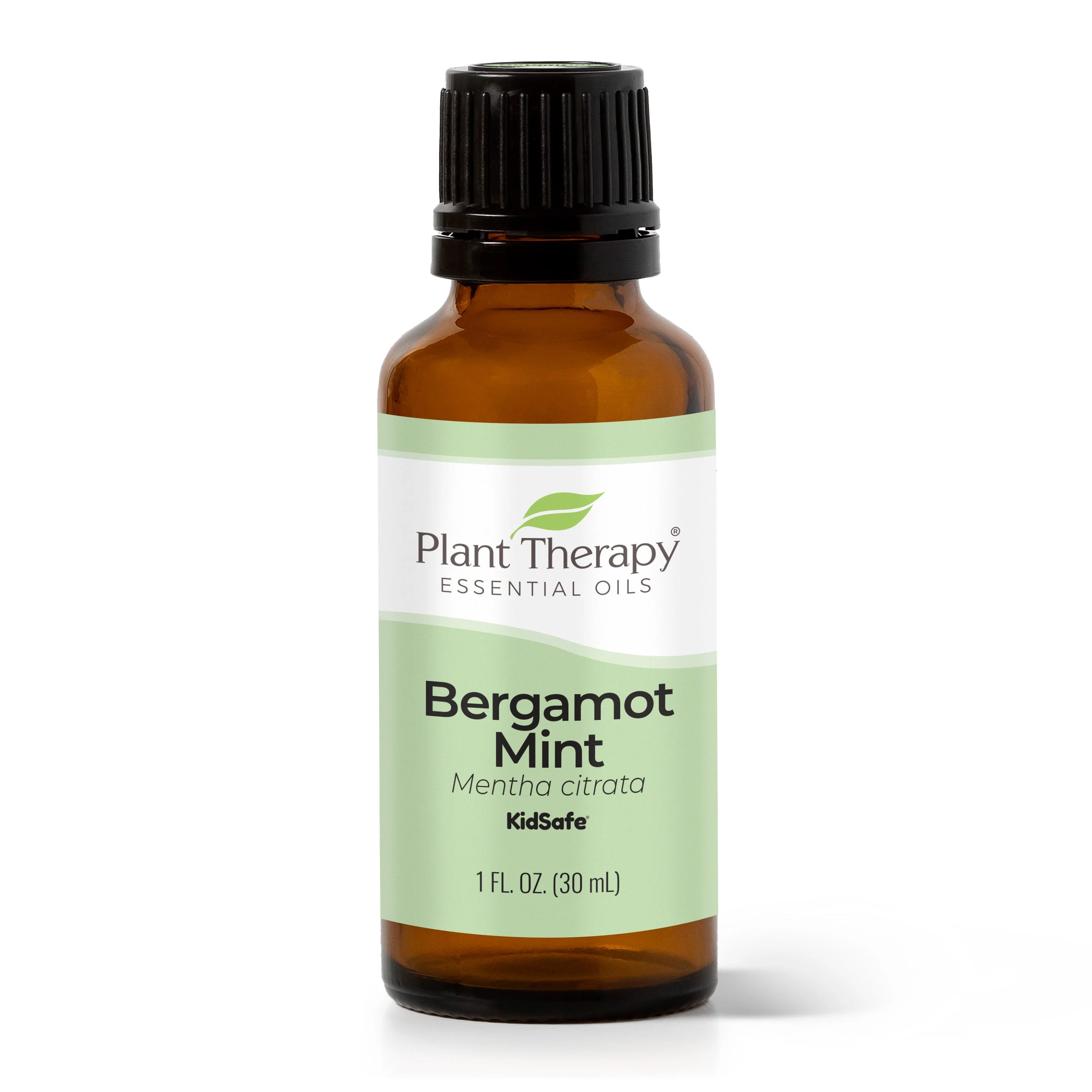 Bergamot Mint Essential Oil - Image 3