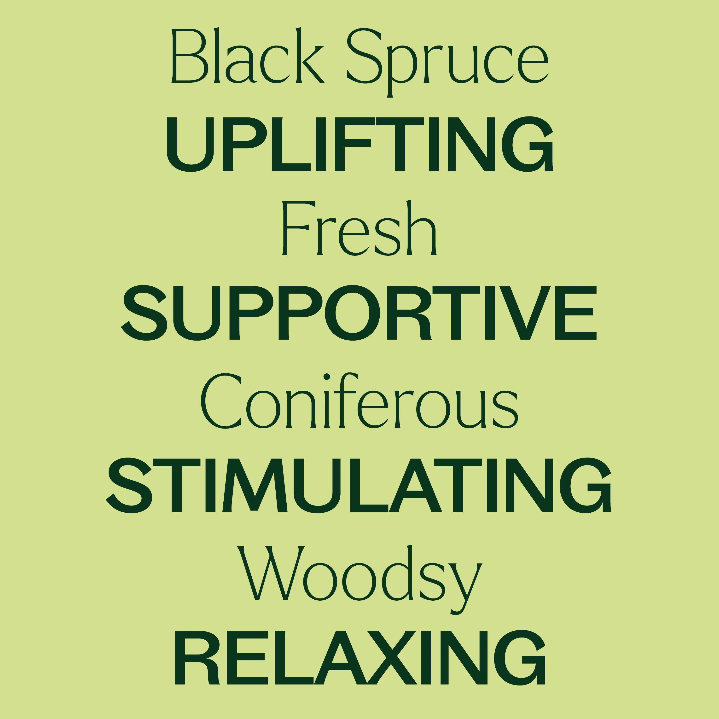 Black Spruce Essential Oil - Image 5