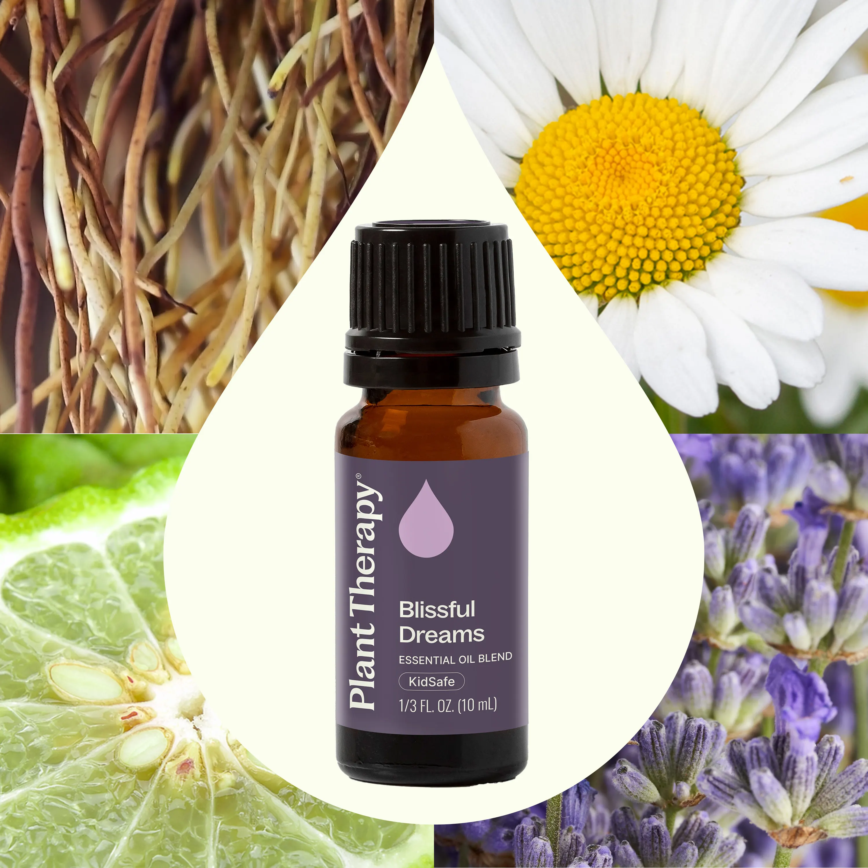 Blissful Dreams Essential Oil - Image 2