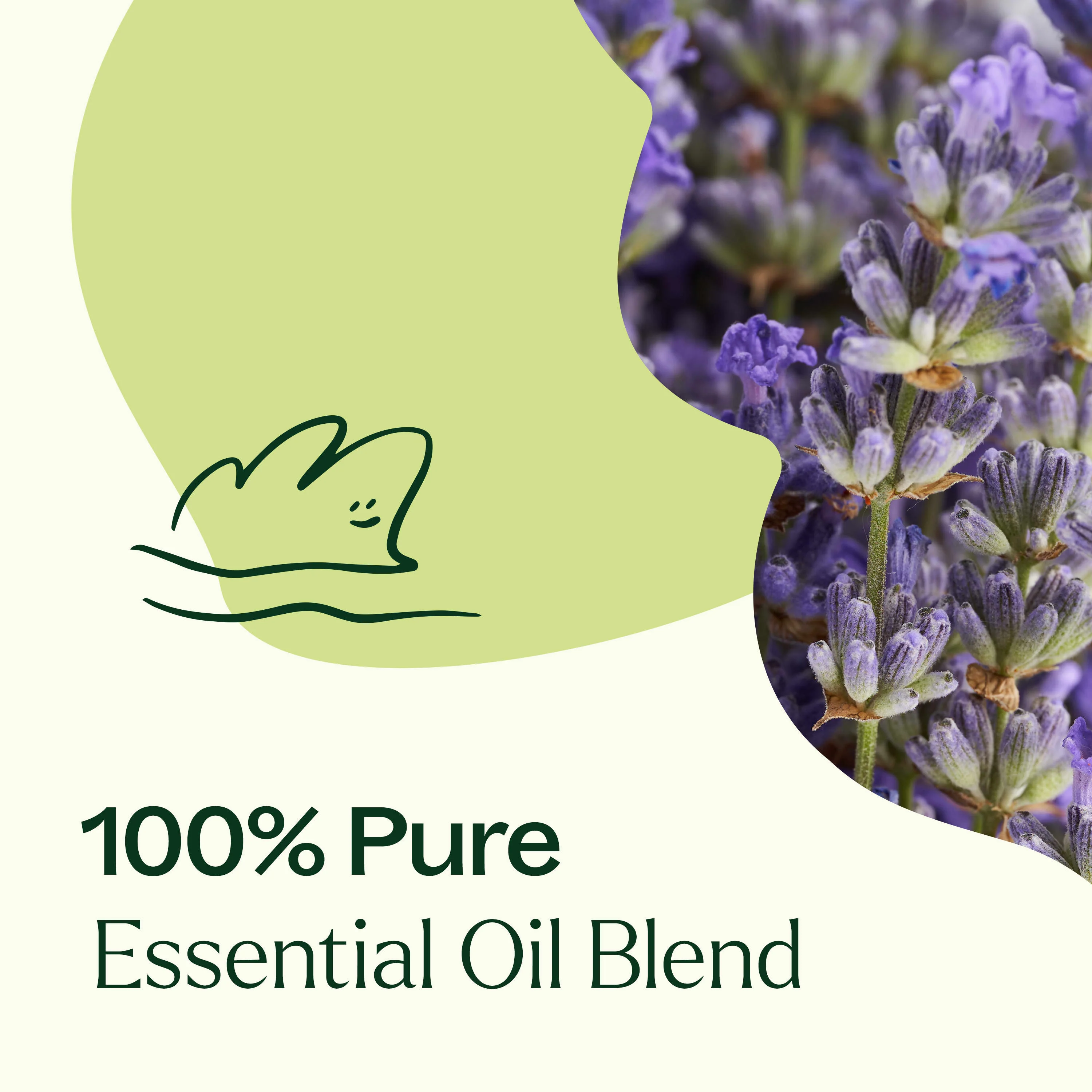 Blissful Dreams Essential Oil - Image 5