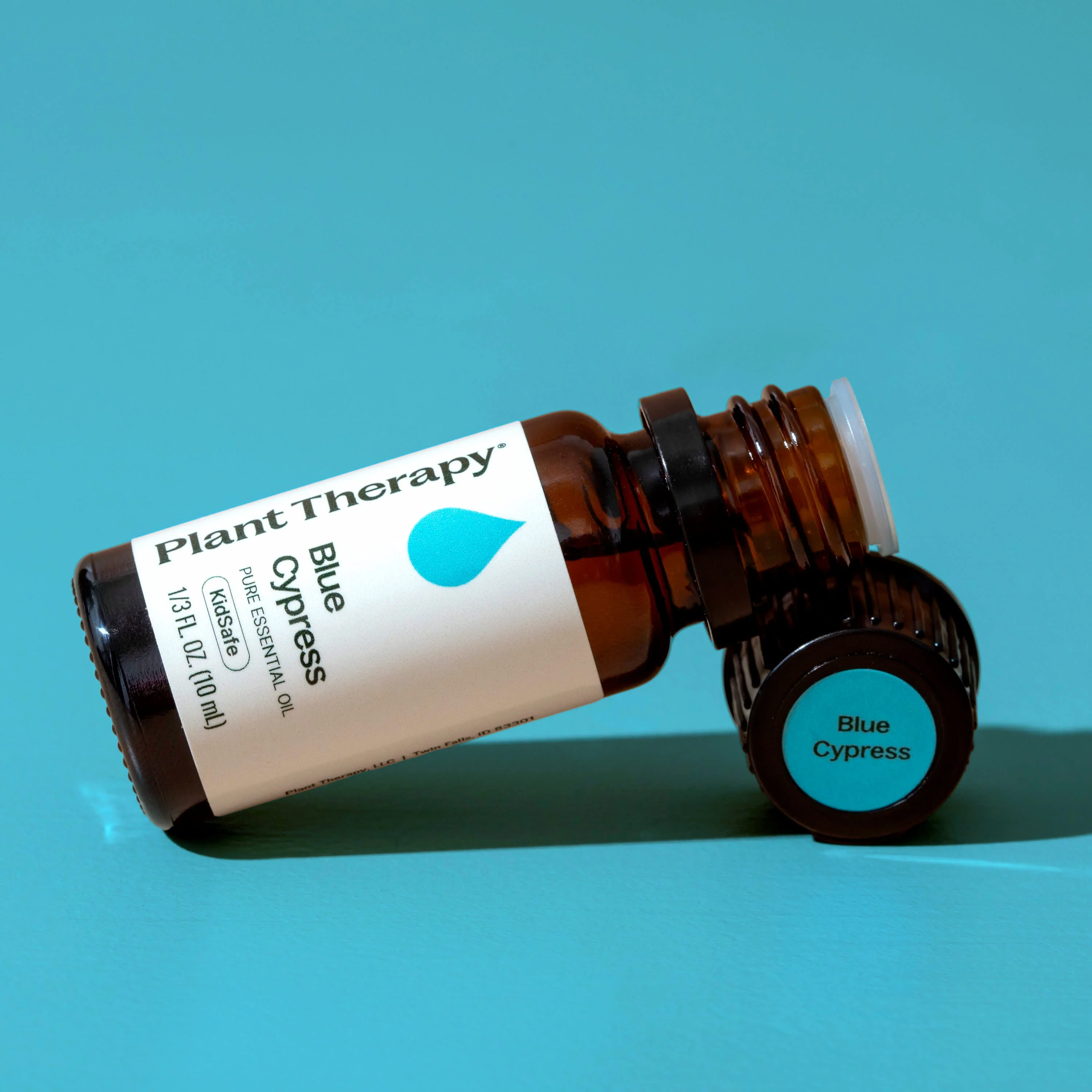 Blue Cypress Essential Oil - Image 10
