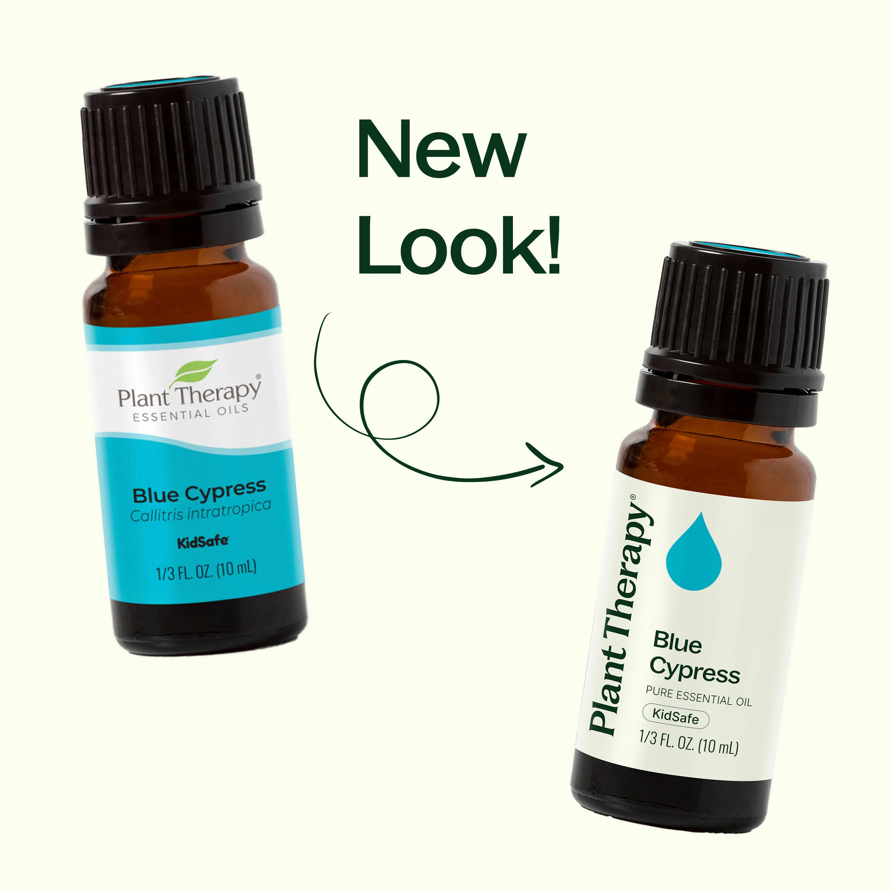 Blue Cypress Essential Oil - Image 3