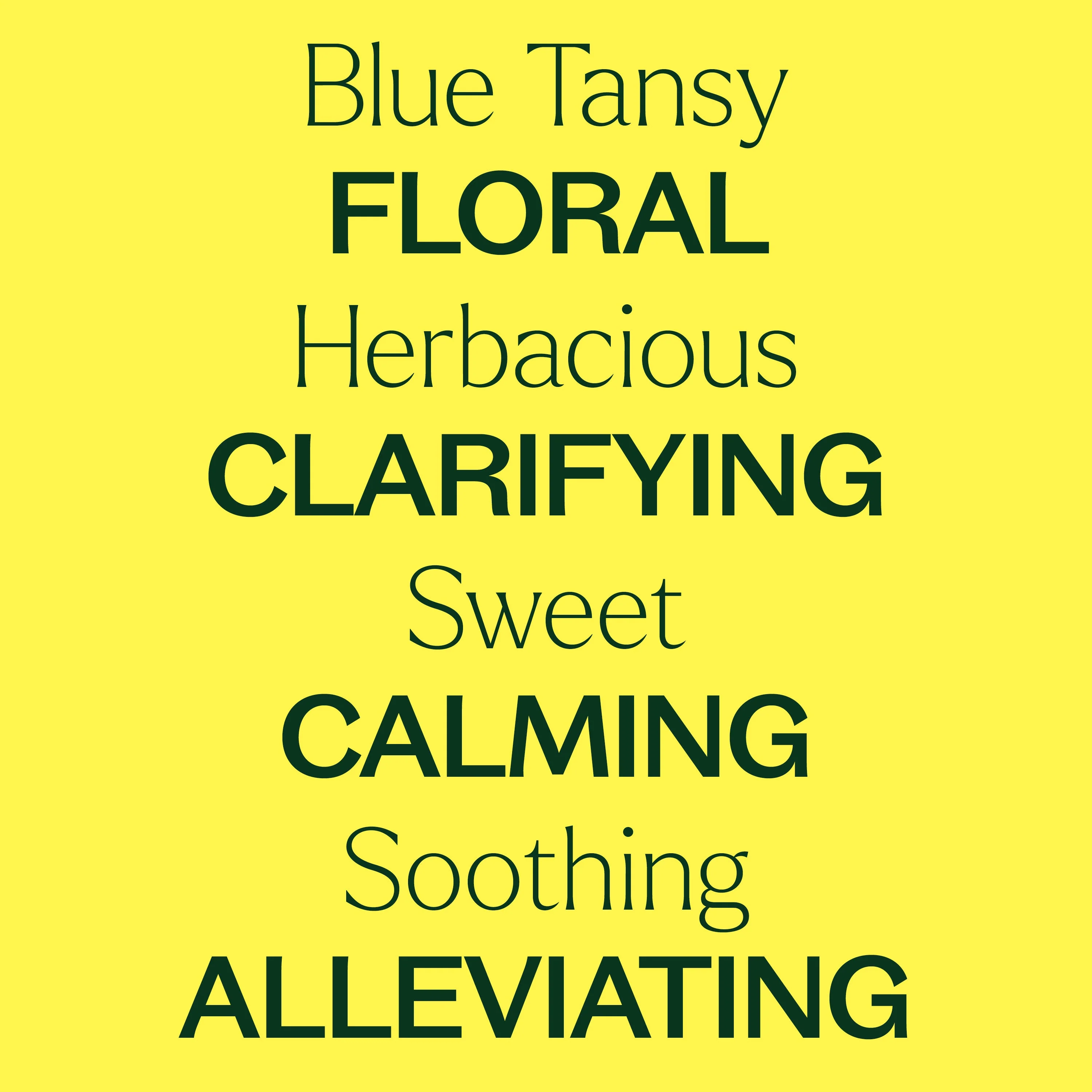 Blue Tansy Essential Oil - Image 4