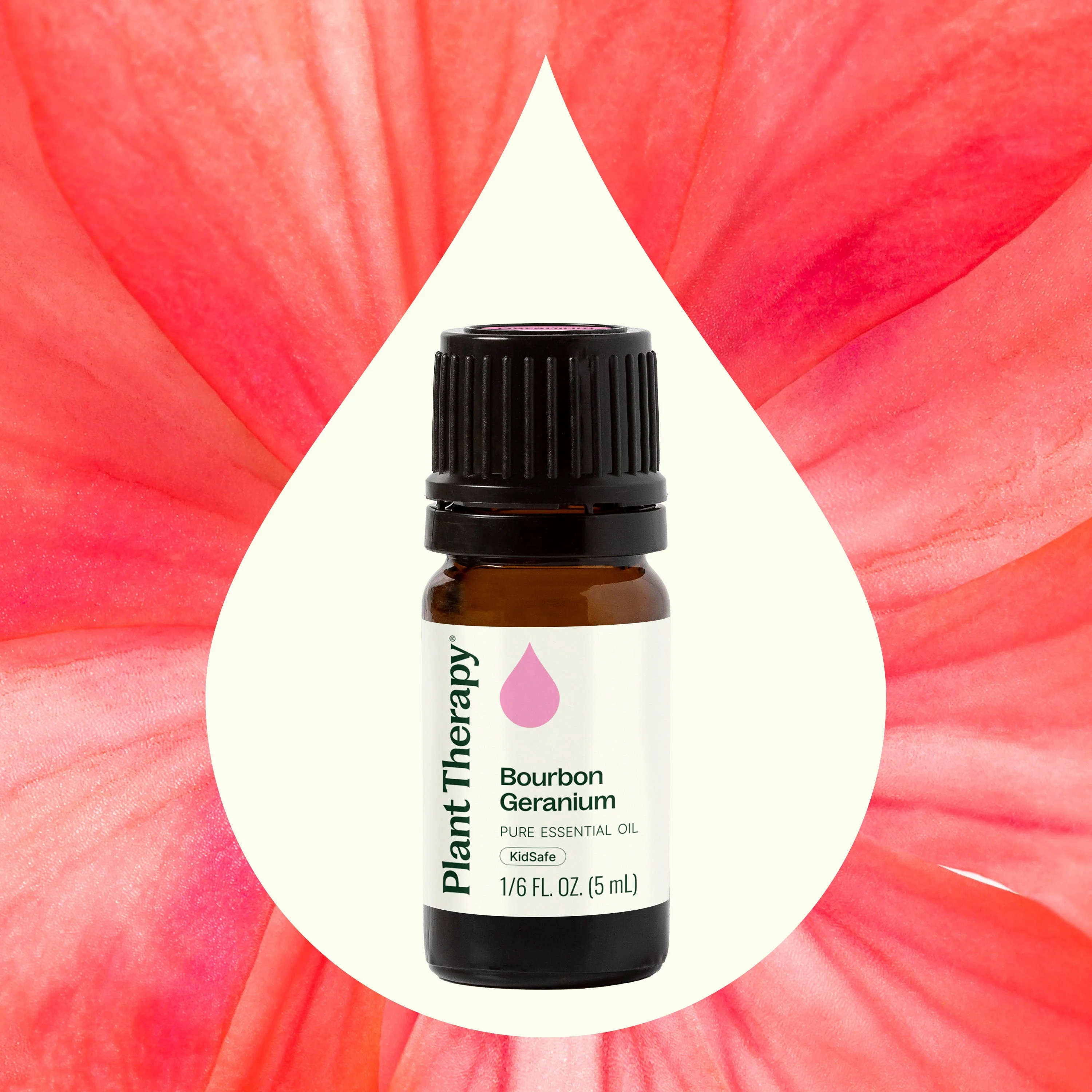 Bourbon Geranium Essential Oil - Image 2