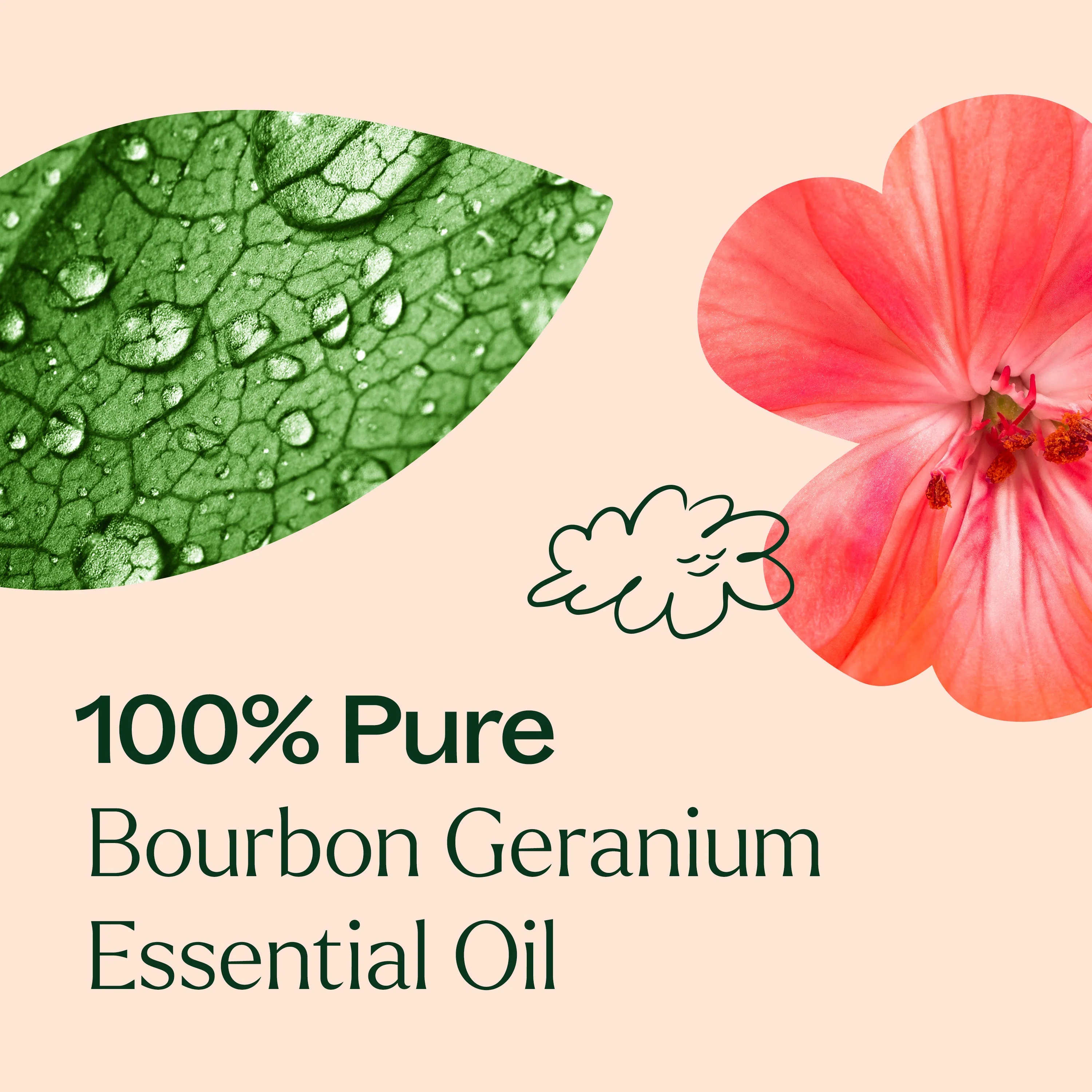 Bourbon Geranium Essential Oil - Image 5