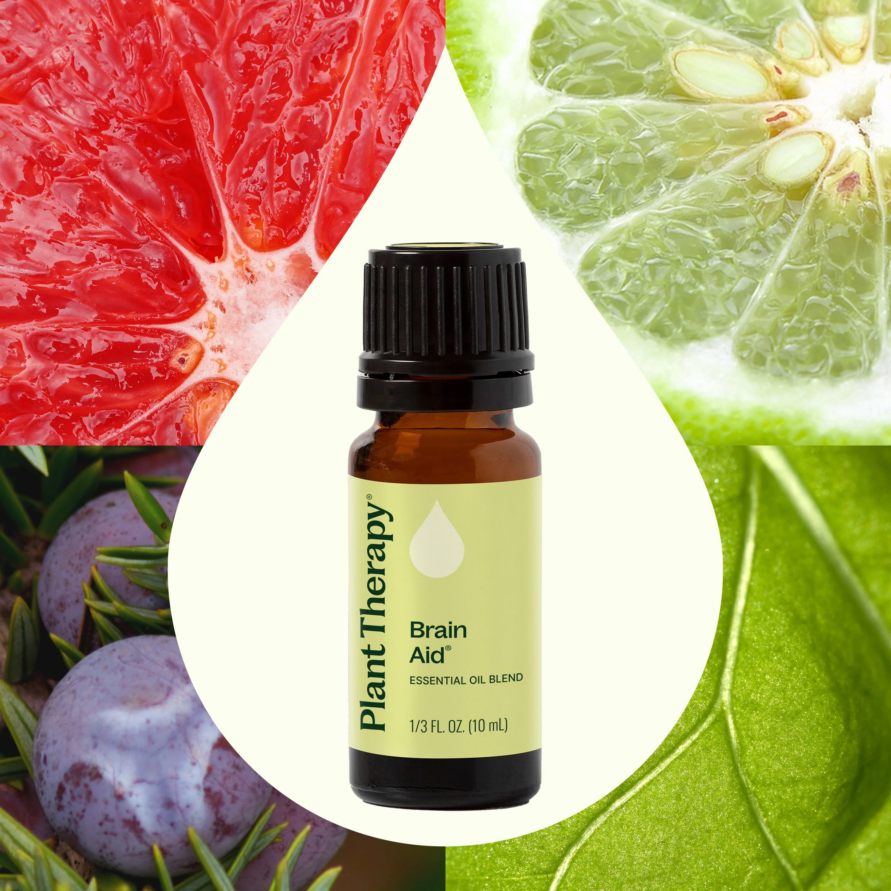 Brain Aid Essential Oil Blend - Image 2