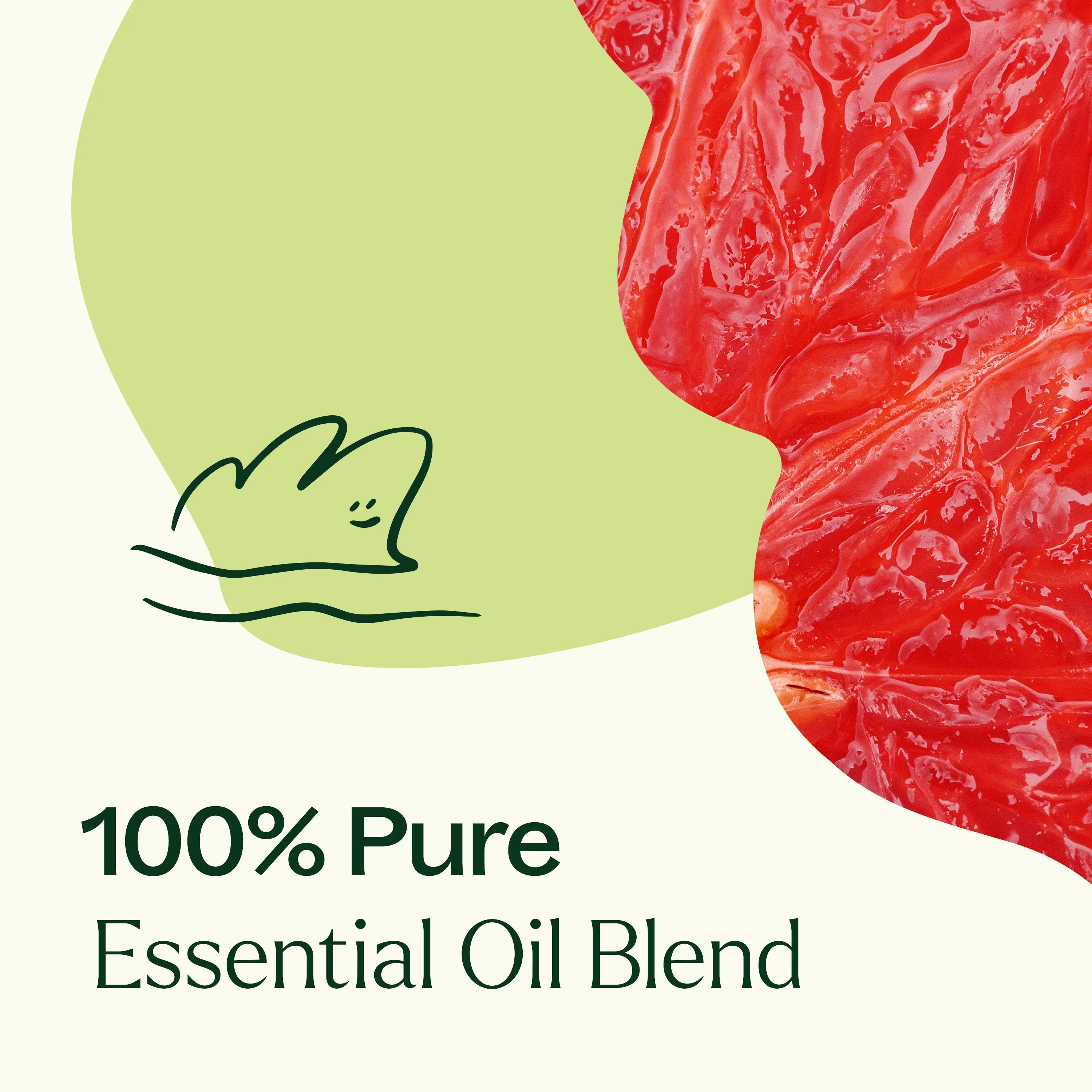 Brain Aid Essential Oil Blend - Image 4