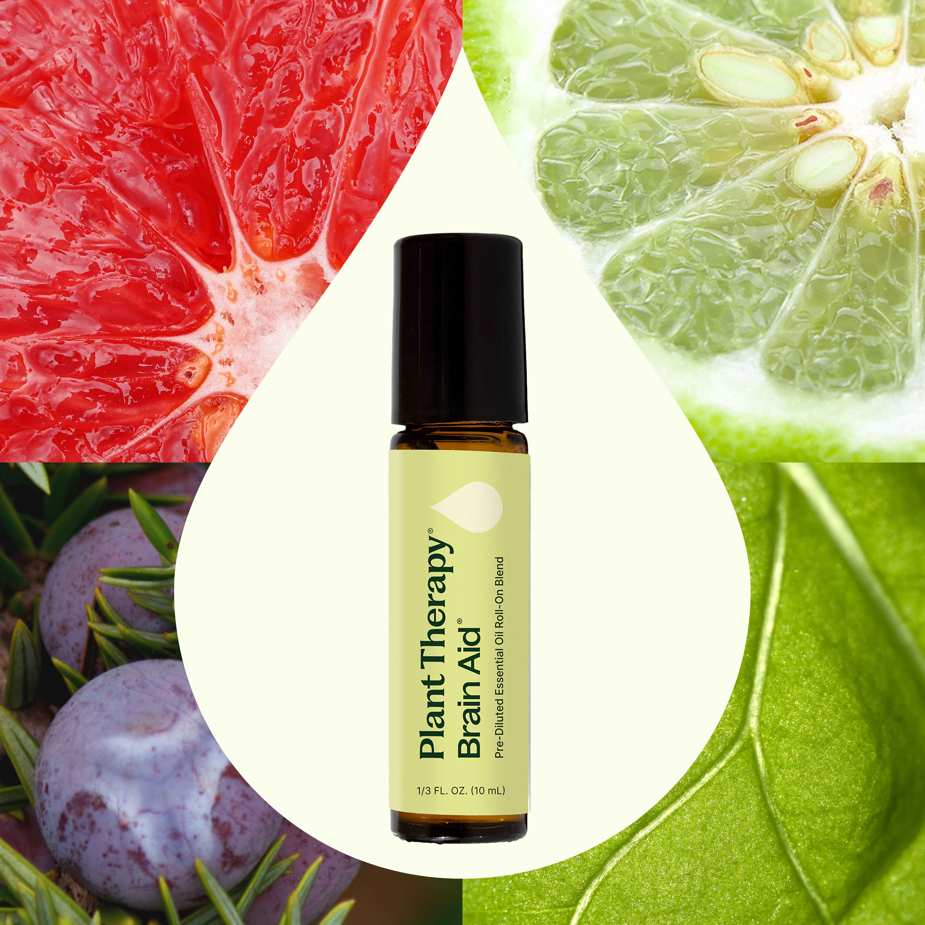Brain Aid Essential Oil Blend Pre-Diluted Roll-On - Image 2
