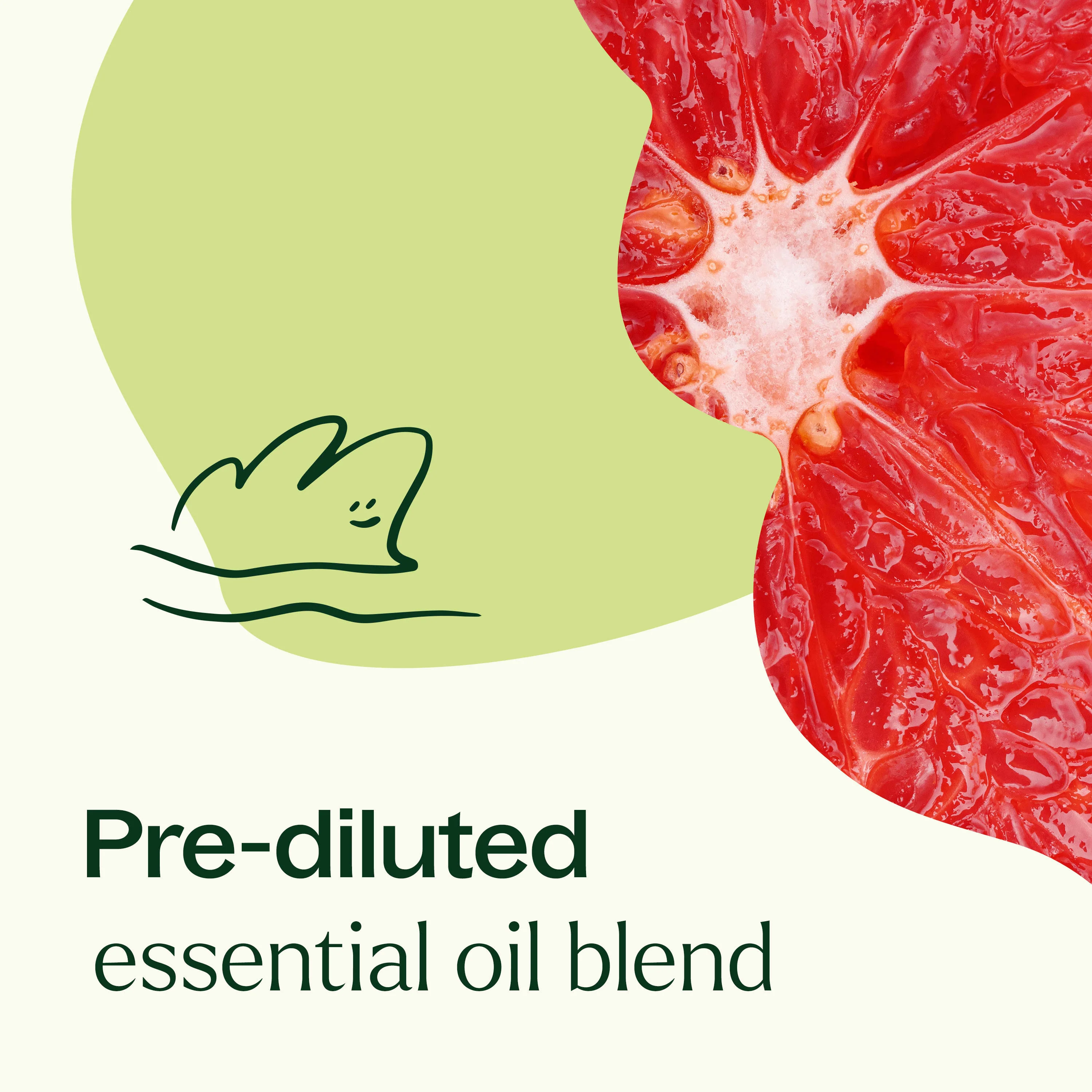 Brain Aid Essential Oil Blend Pre-Diluted Roll-On - Image 3