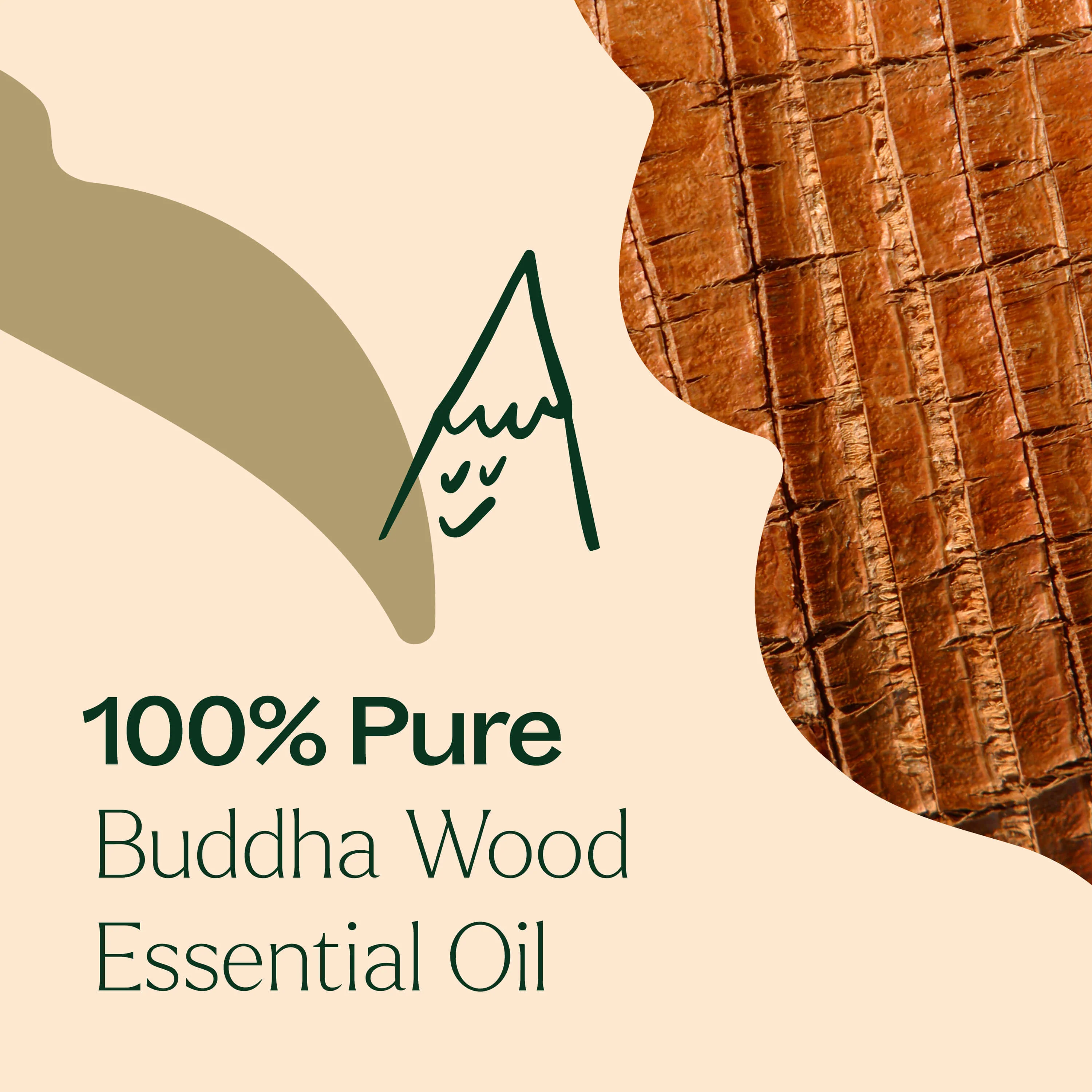 Buddha Wood Essential Oil - Image 7