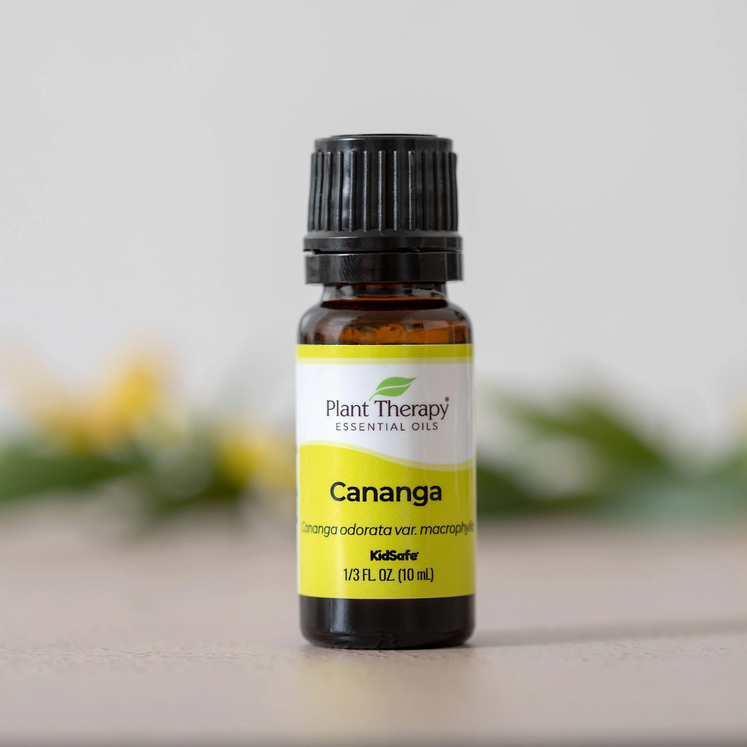 Cananga Essential Oil - Image 2