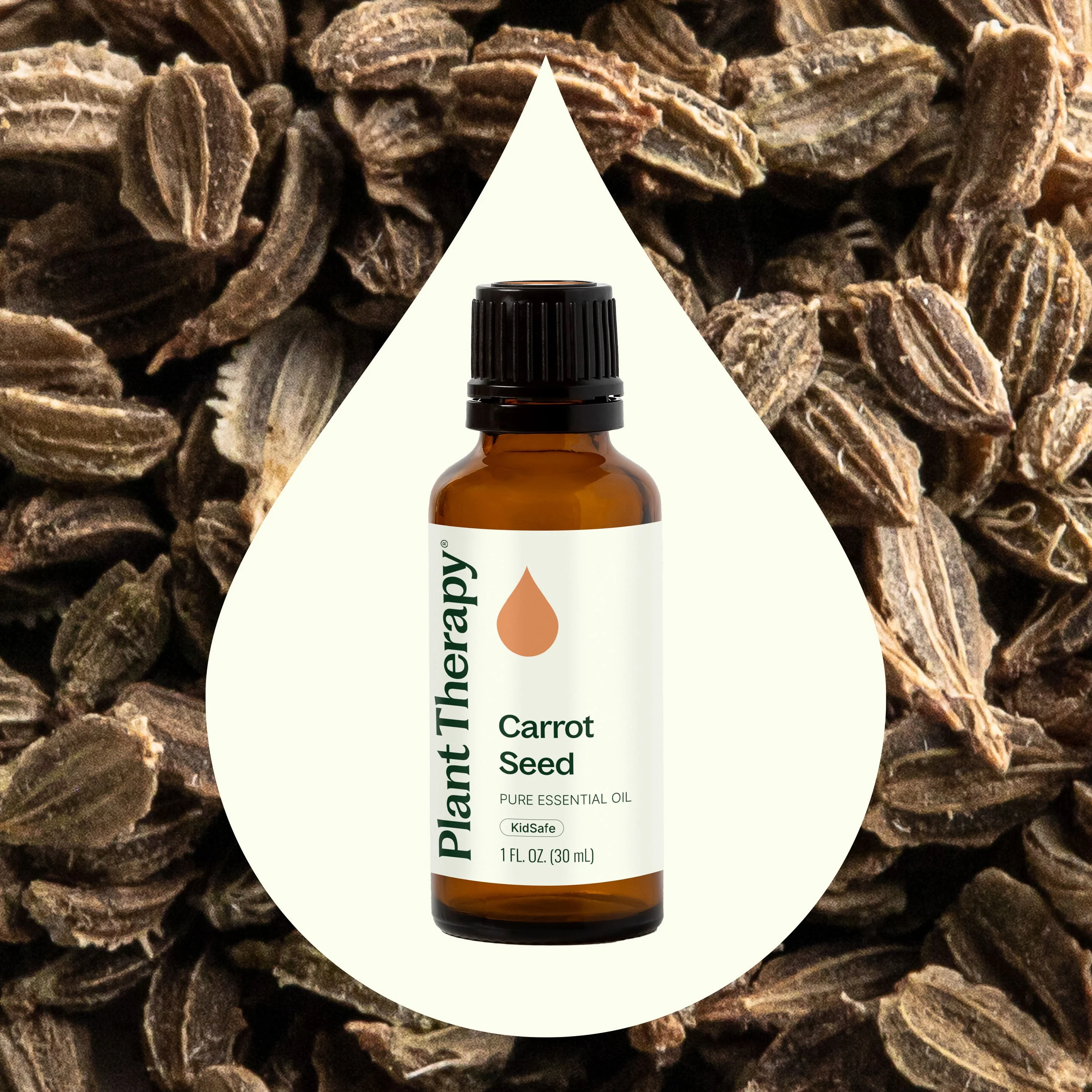 Carrot Seed Essential Oil - Image 2