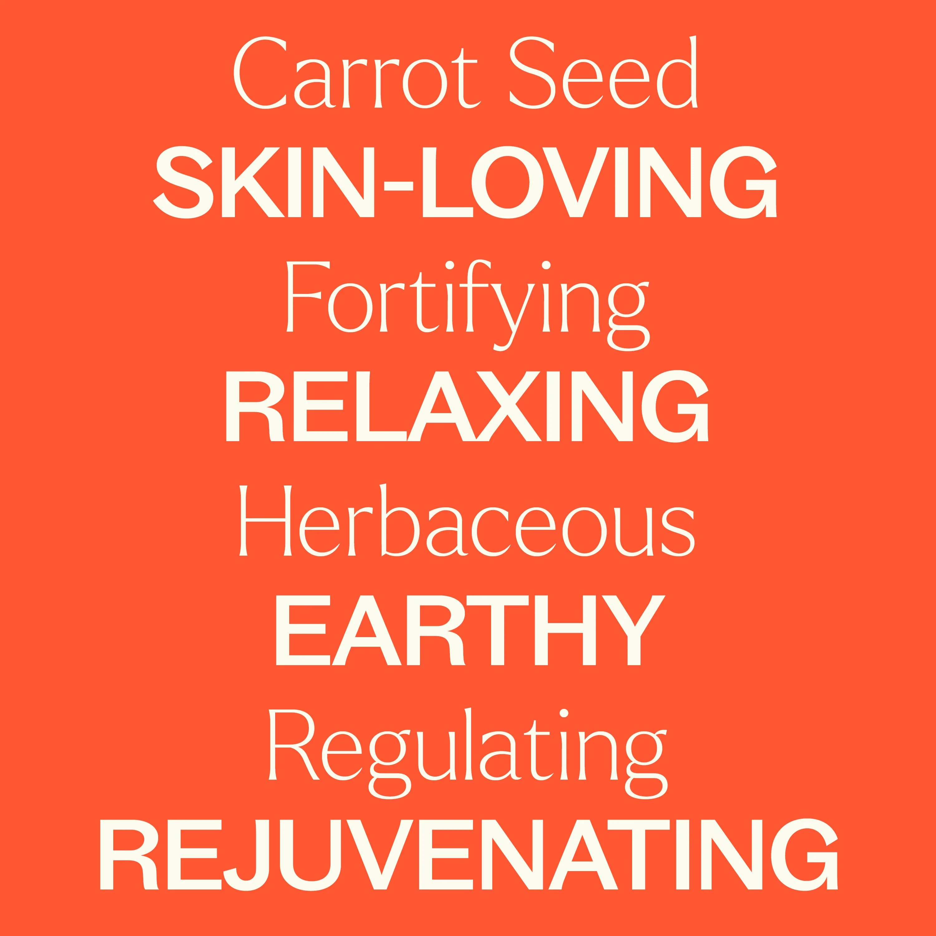Carrot Seed Essential Oil - Image 5