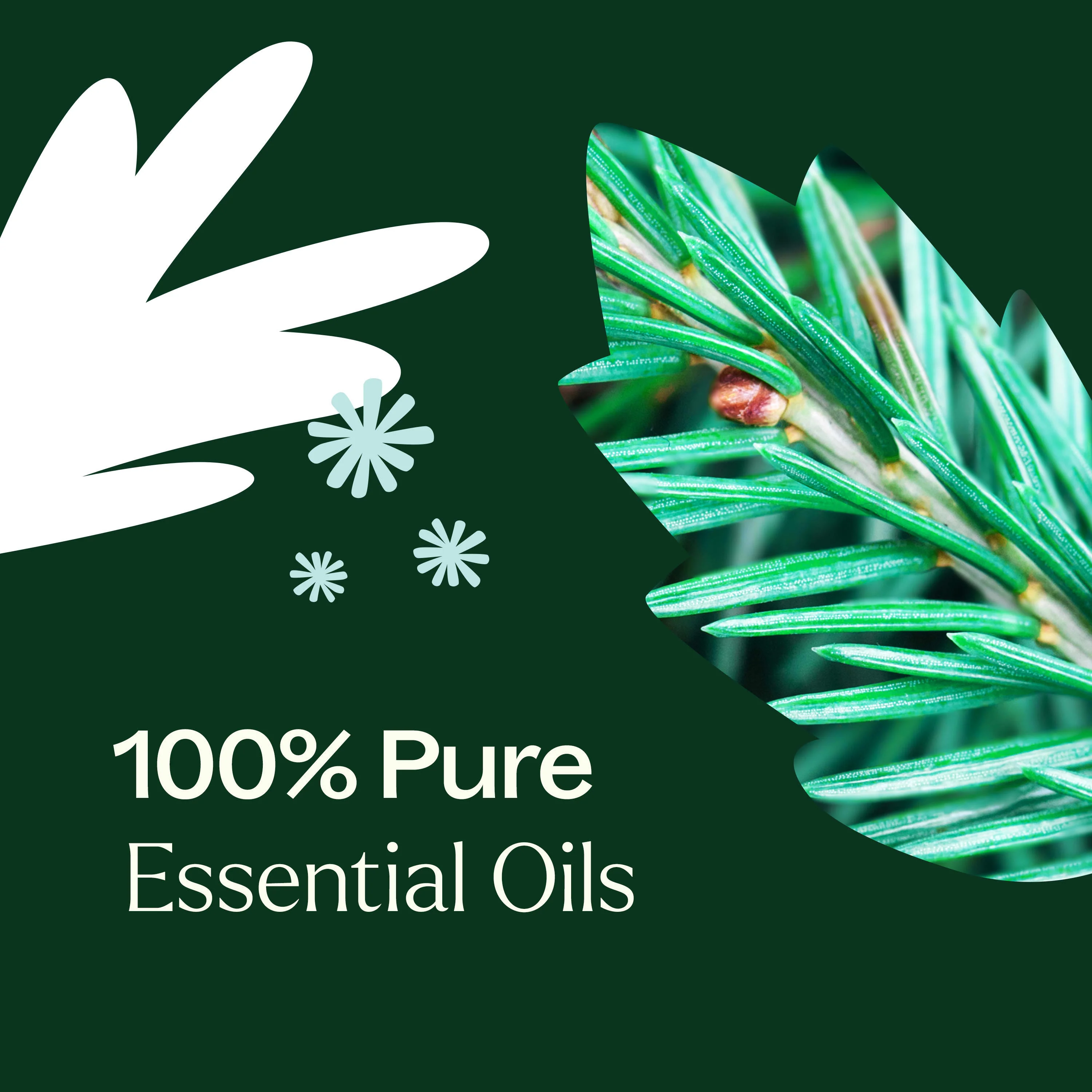 Christmas Tree Essential Oil Blend - Image 4