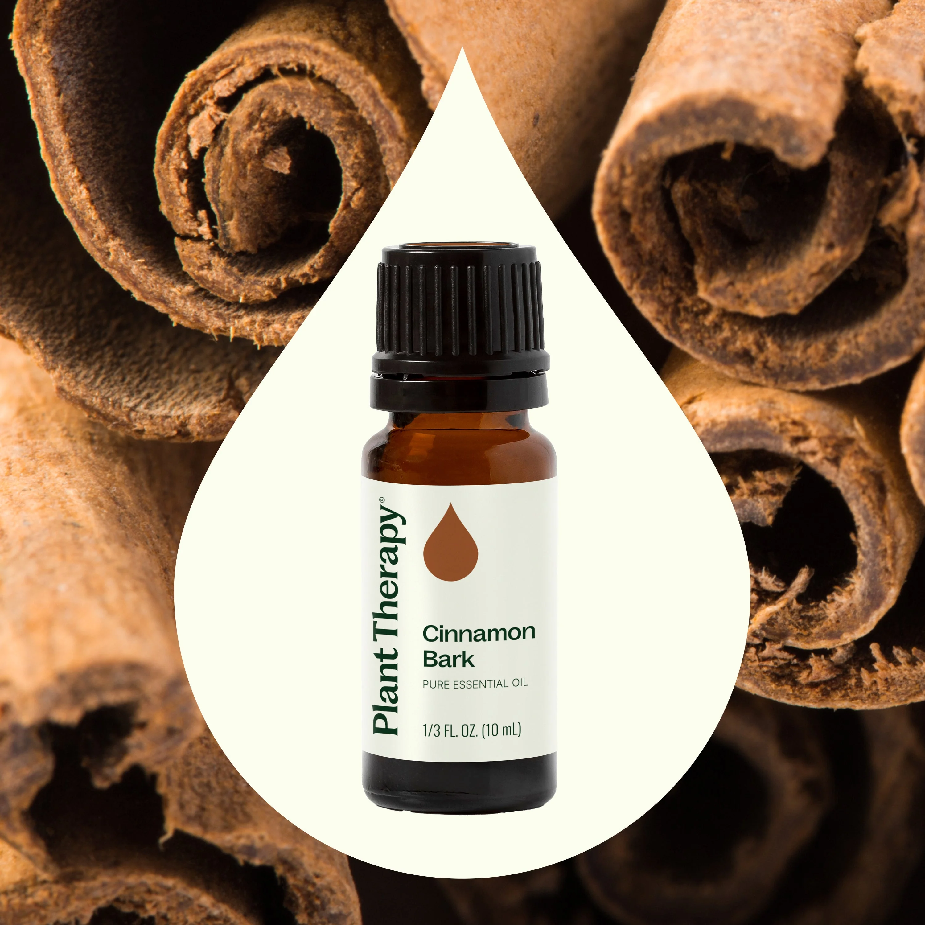 Cinnamon Bark Essential Oil - Image 2