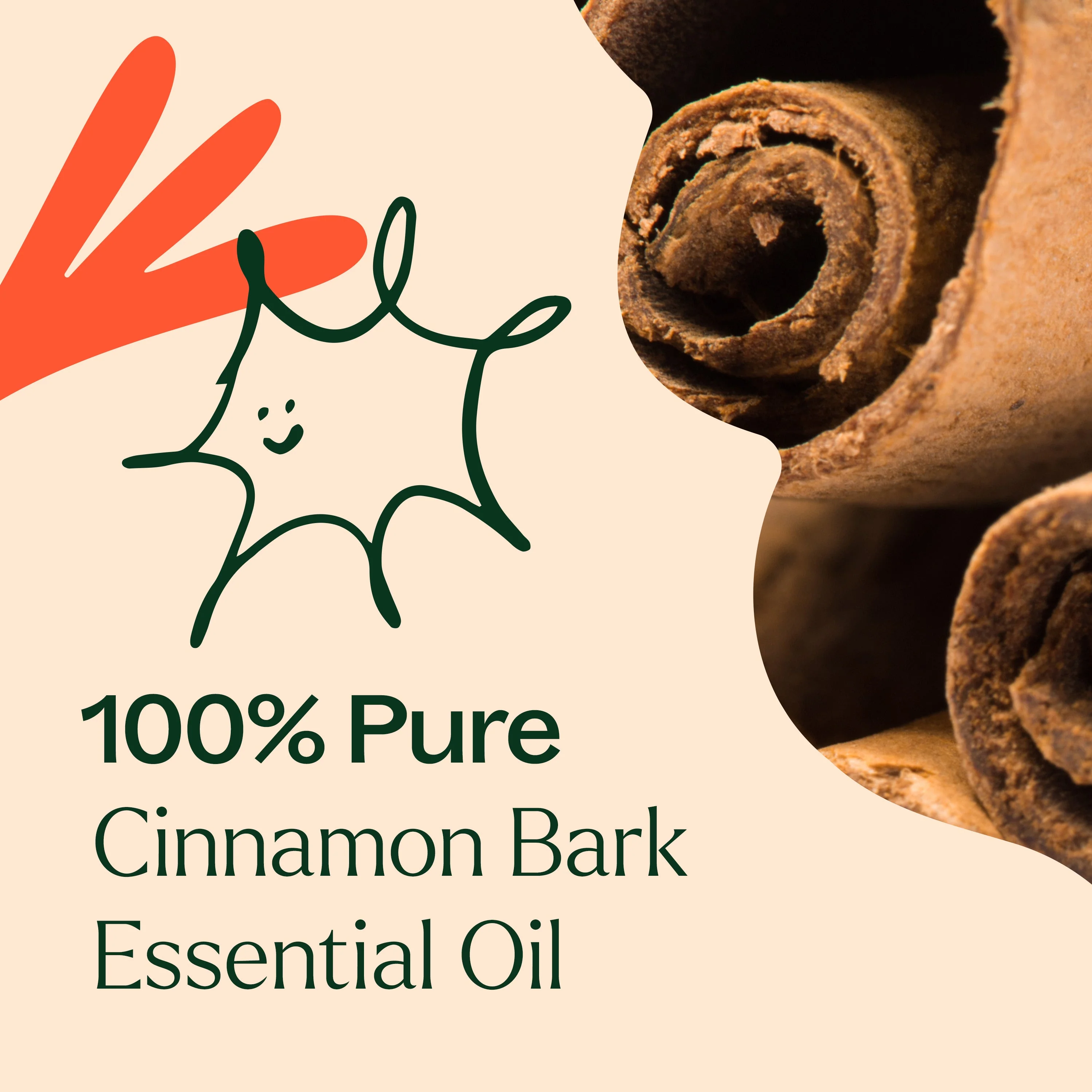 Cinnamon Bark Essential Oil - Image 3