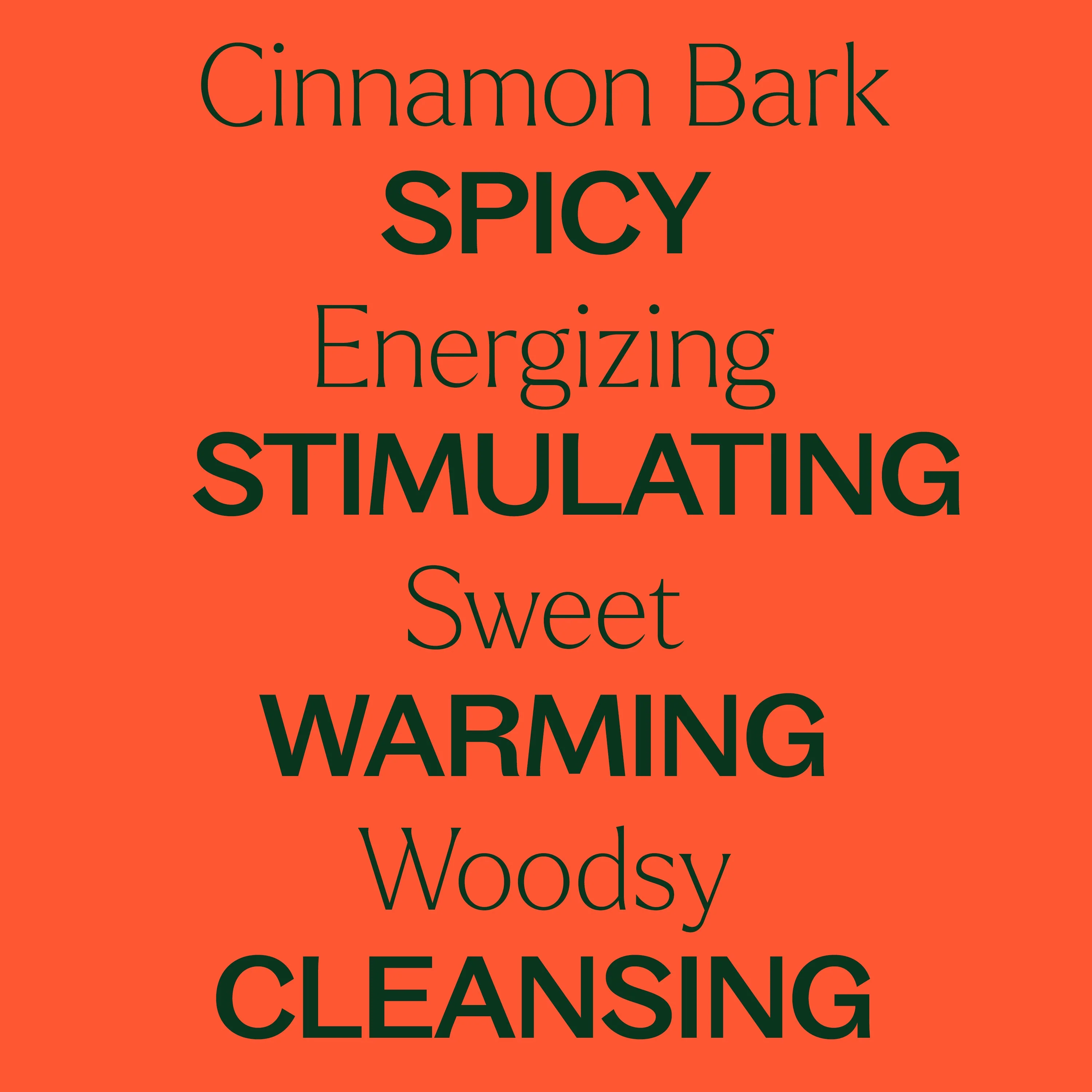 Cinnamon Bark Essential Oil - Image 8