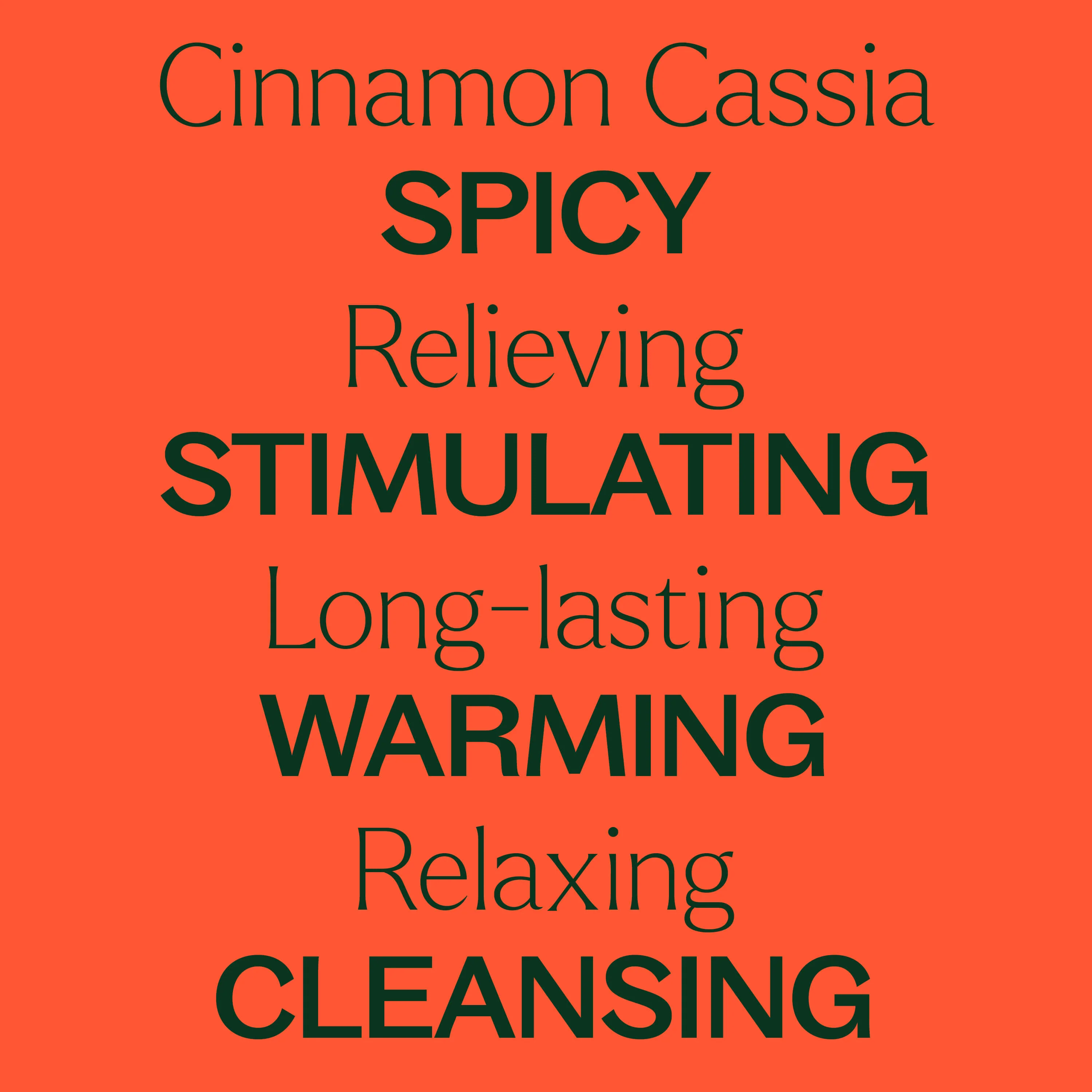 Cinnamon Cassia Essential Oil - Image 3